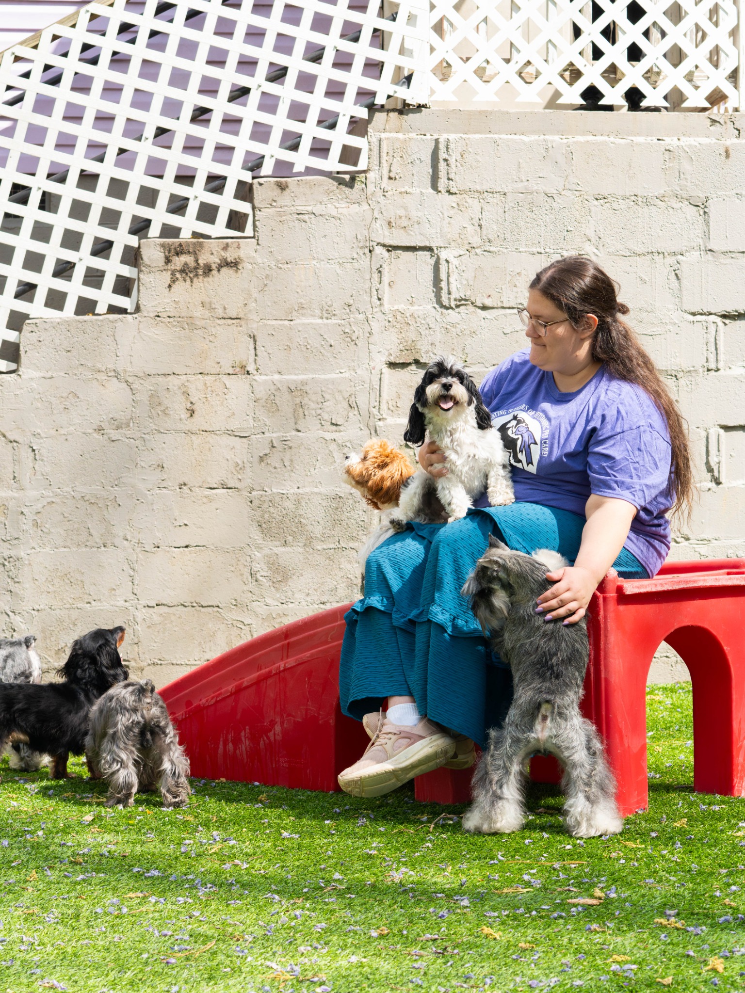 Best In Show Georgia Facebook ad: Book Your Pup’s Free Day