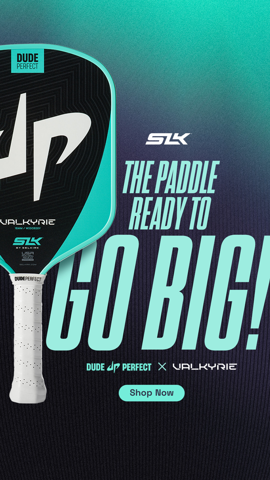 Selkirk Sport - We are Pickleball Facebook ad