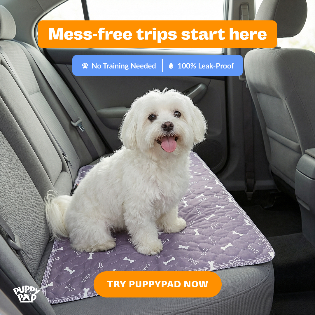 PuppyPad Facebook ad