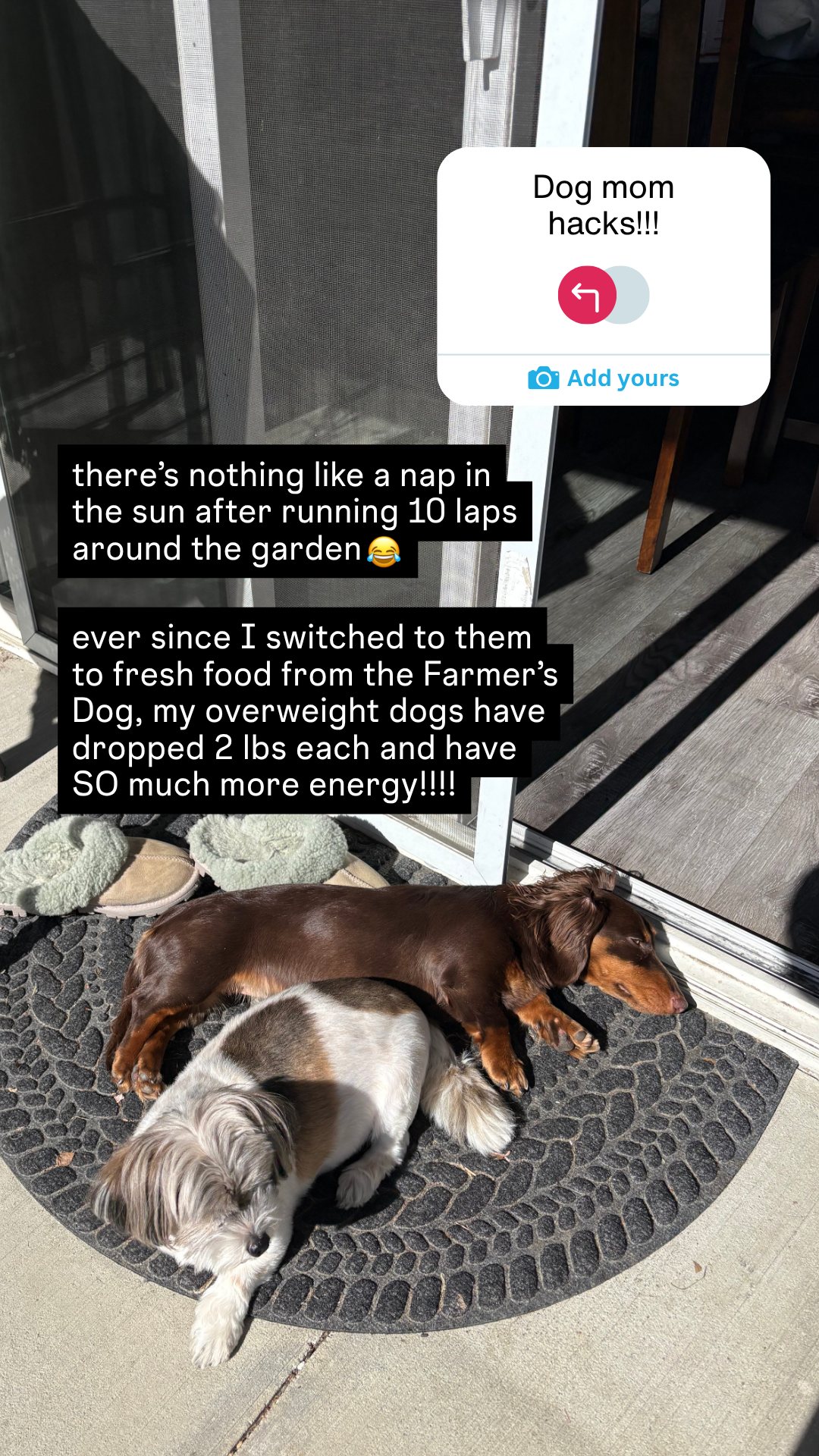 Rounds Of A Paws Facebook ad