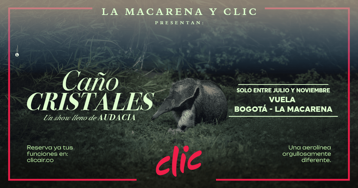 Clic Air Facebook ad
