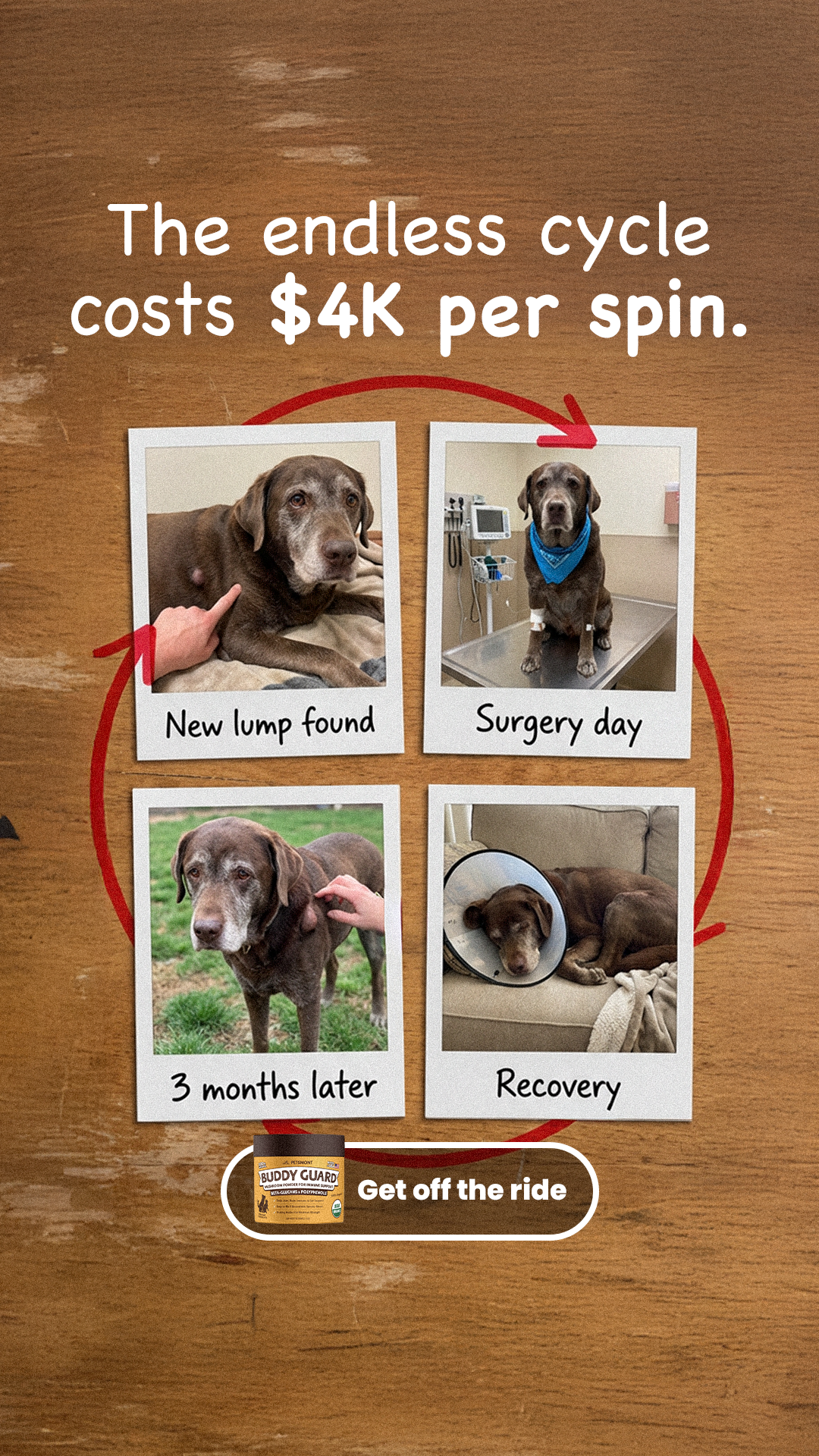 Petsmont Facebook ad
