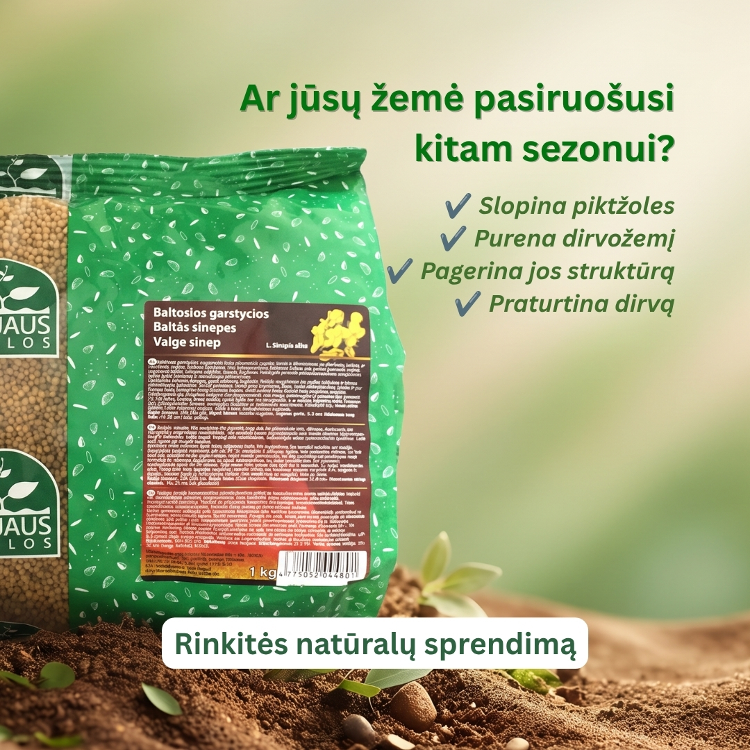 Nojaus sėklos Facebook ad