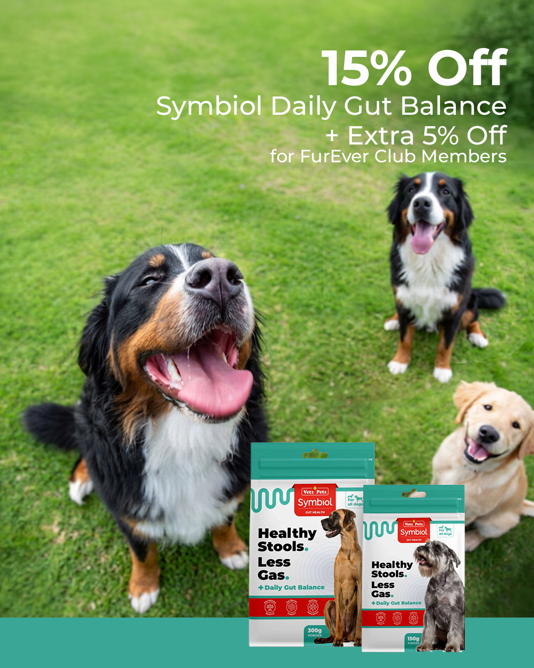 Budget Pet Products Facebook ad