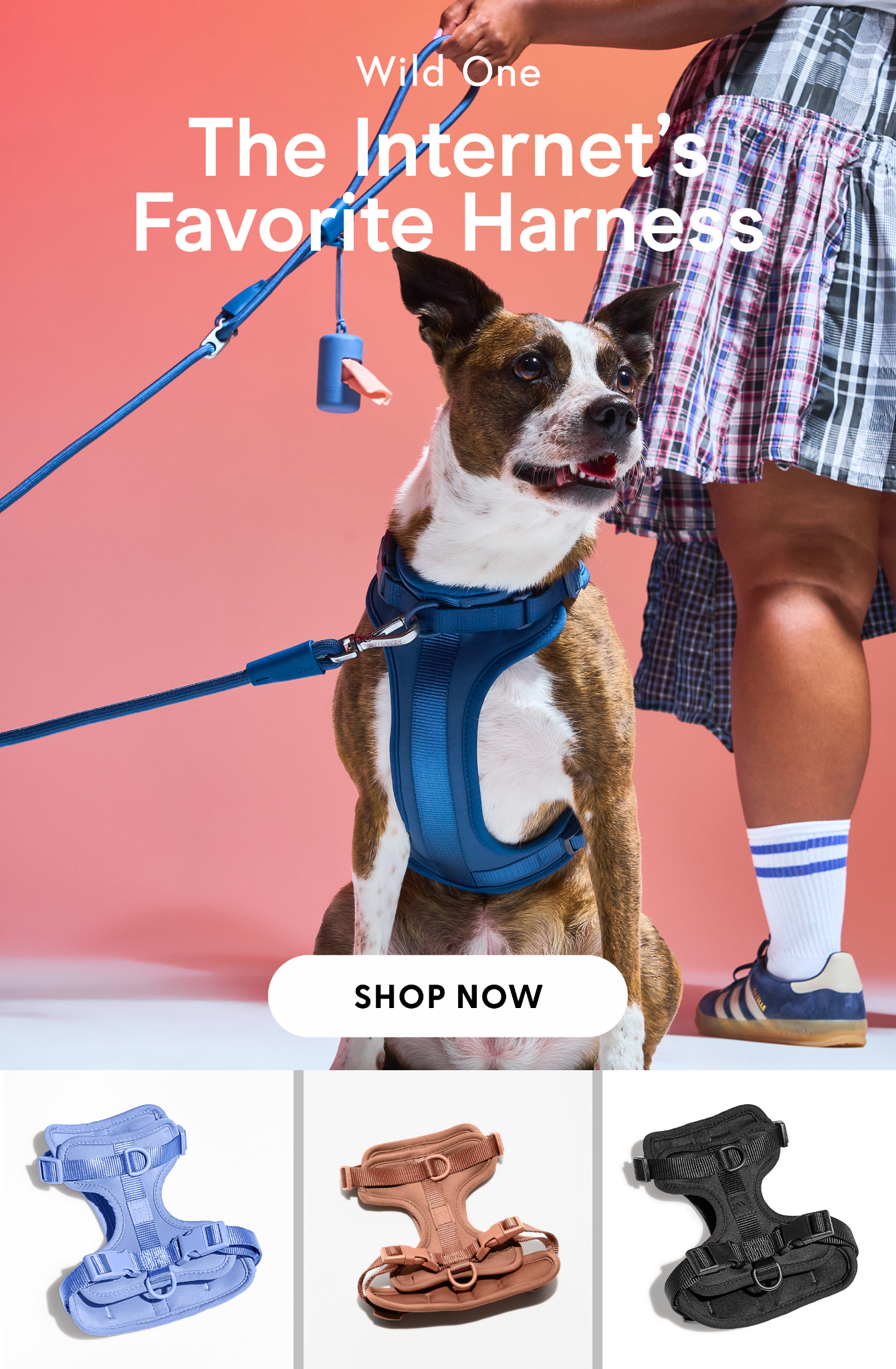 Wild One Facebook ad