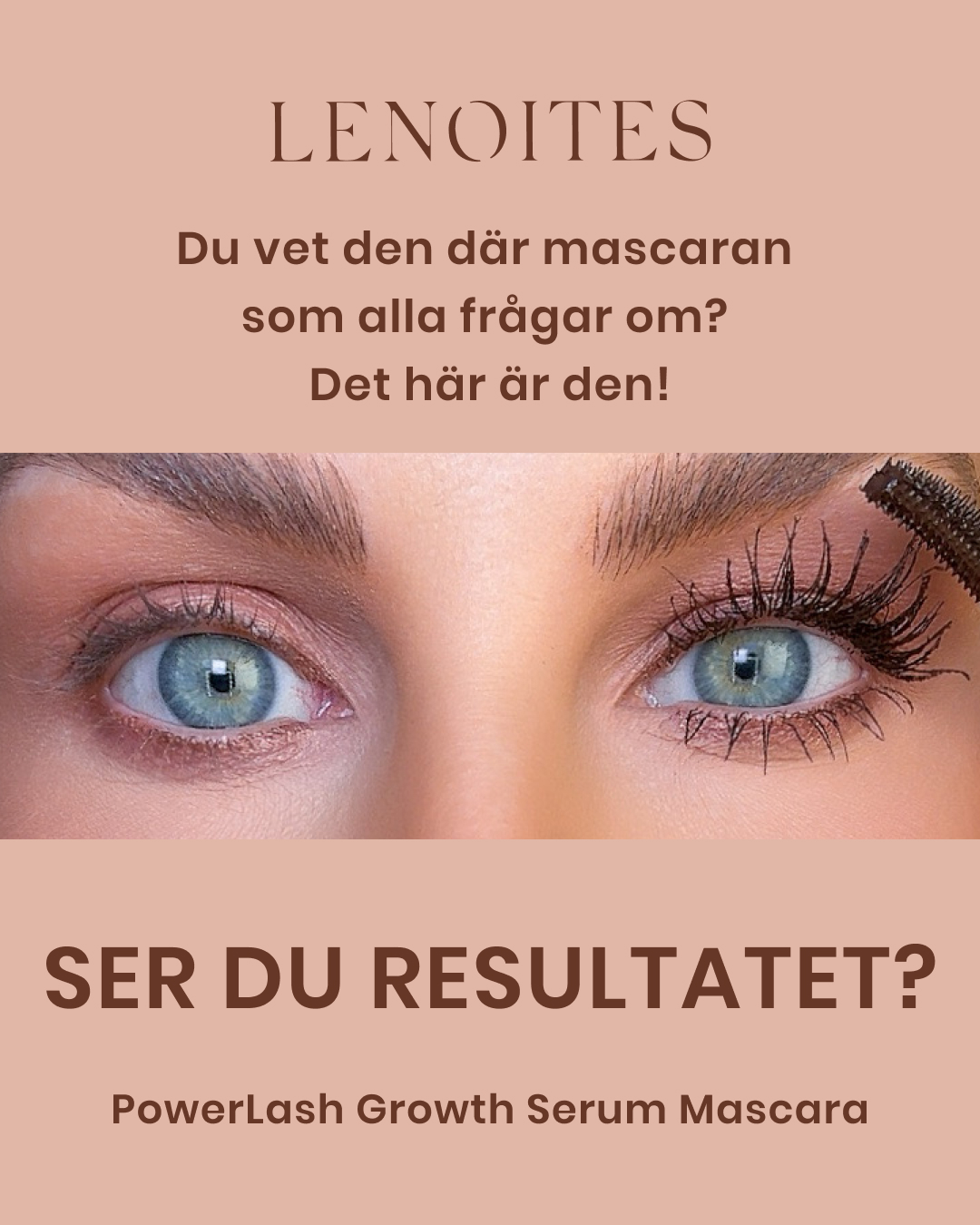 Lenoites Facebook ad