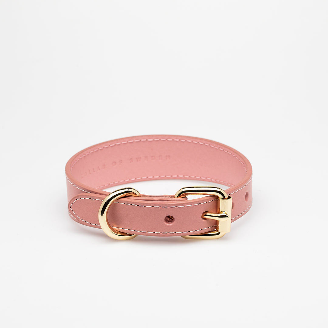 Collar of Sweden Facebook ad: Trendy and colourful accessories for dogs and dog…