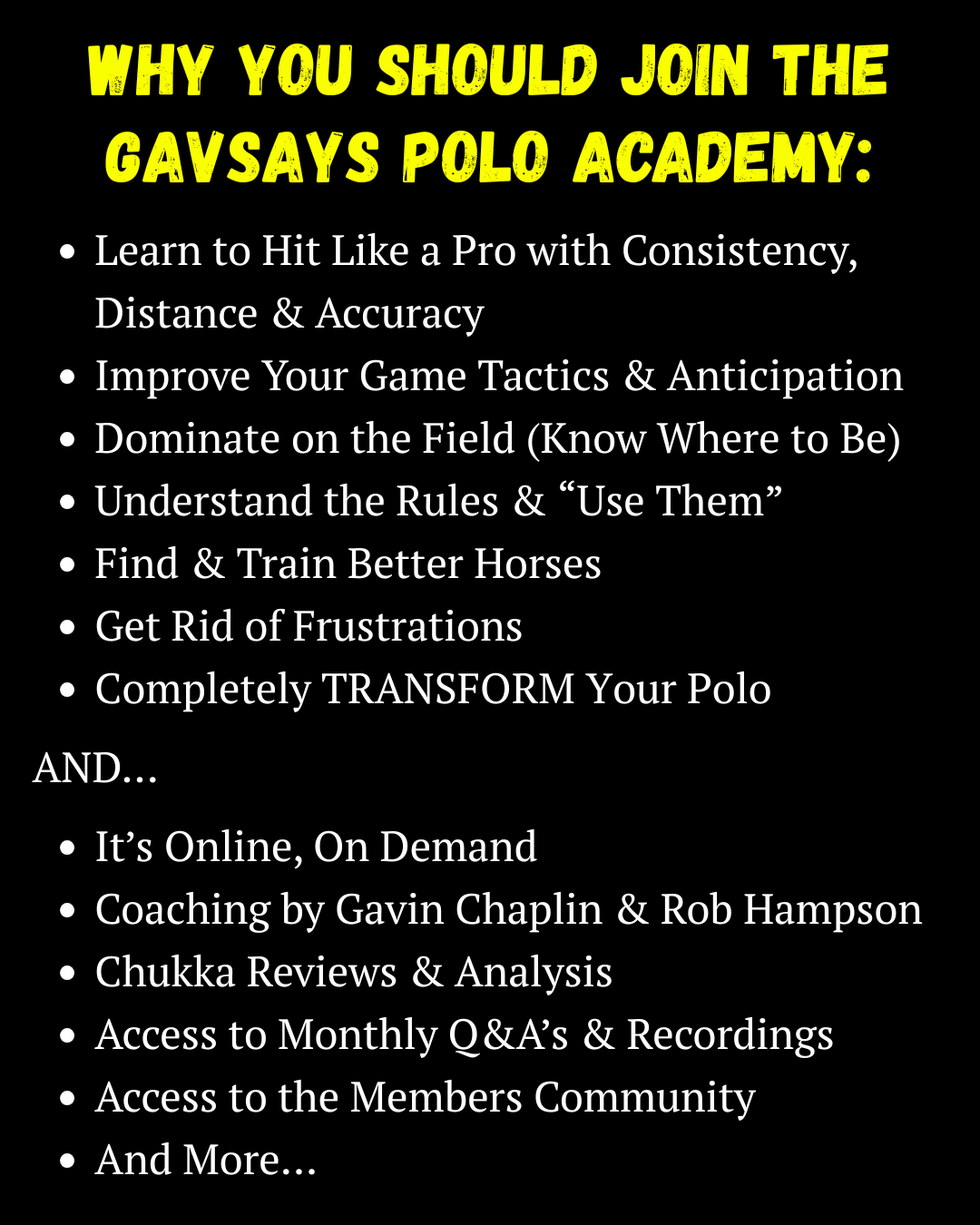 GavSays Polo Academy Facebook ad
