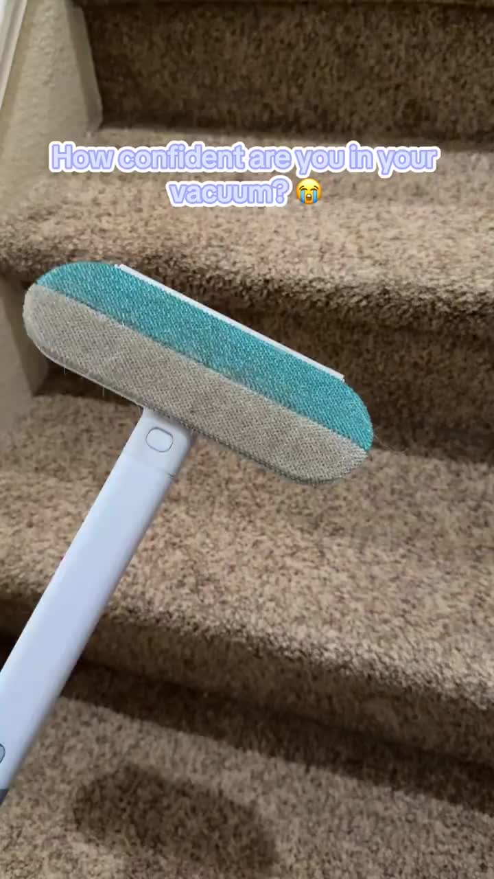 Starrisy Facebook ad: Say Goodbye to Pet Hair!