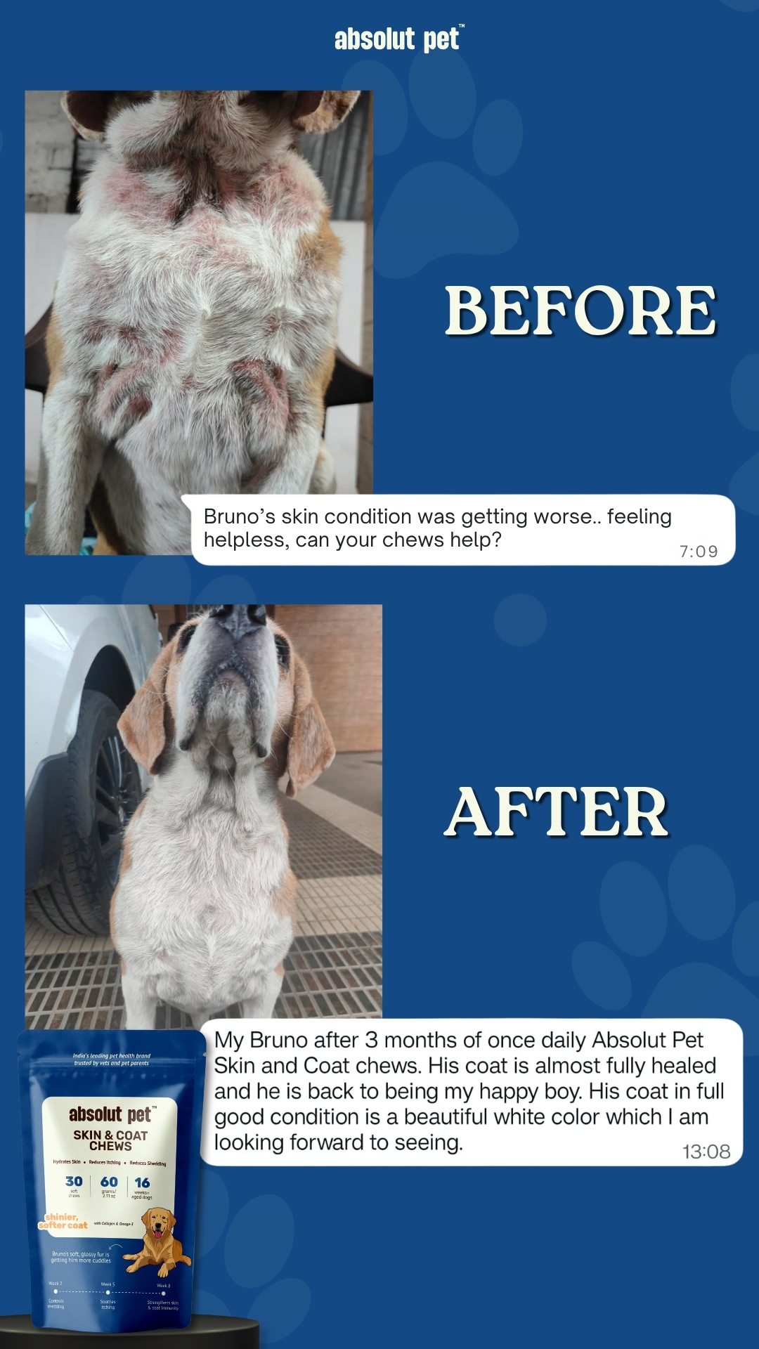 Absolut Pet India Facebook ad