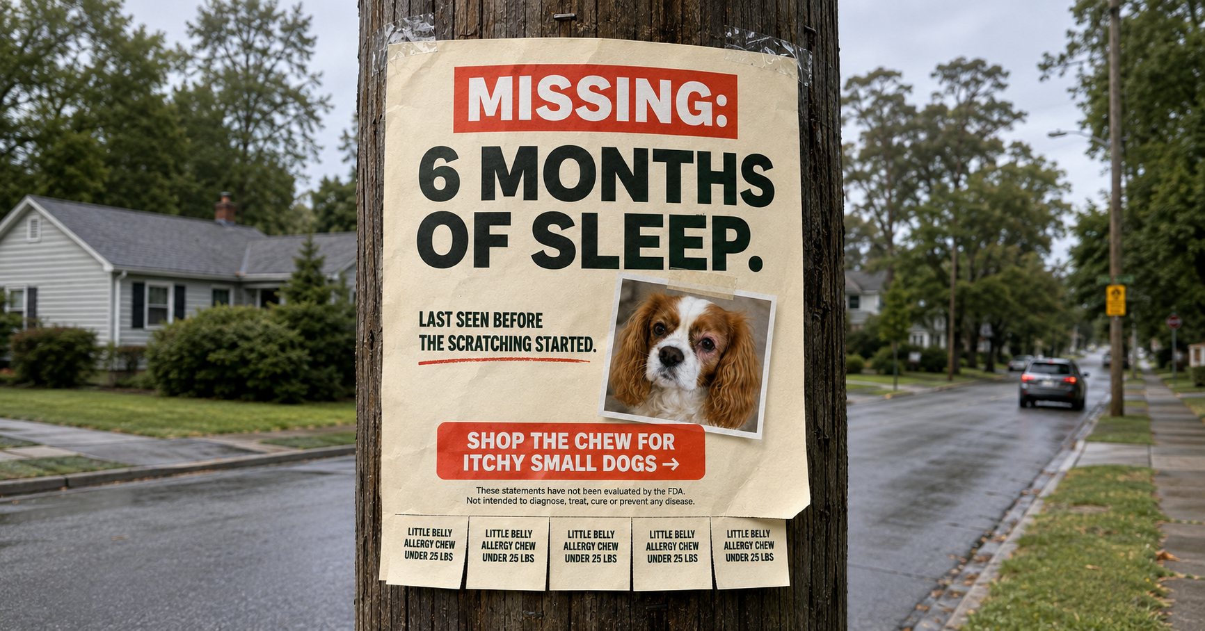 Snehal - Tiny Bark Nutrition Facebook ad: Made for itchy dogs under 25 lbs