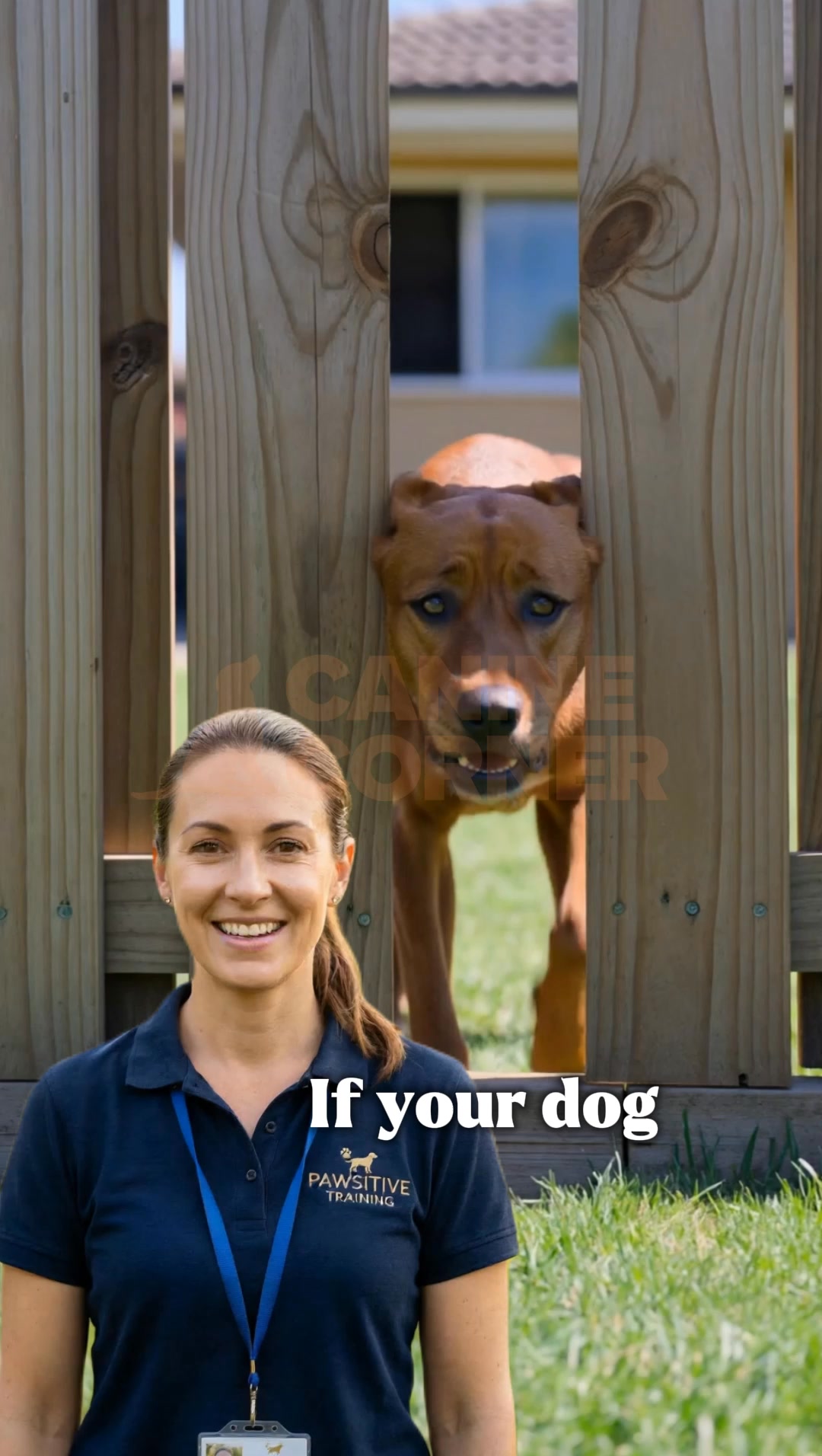 Canine Corner Australia Facebook ad: Stop the Barking Without the Guilt