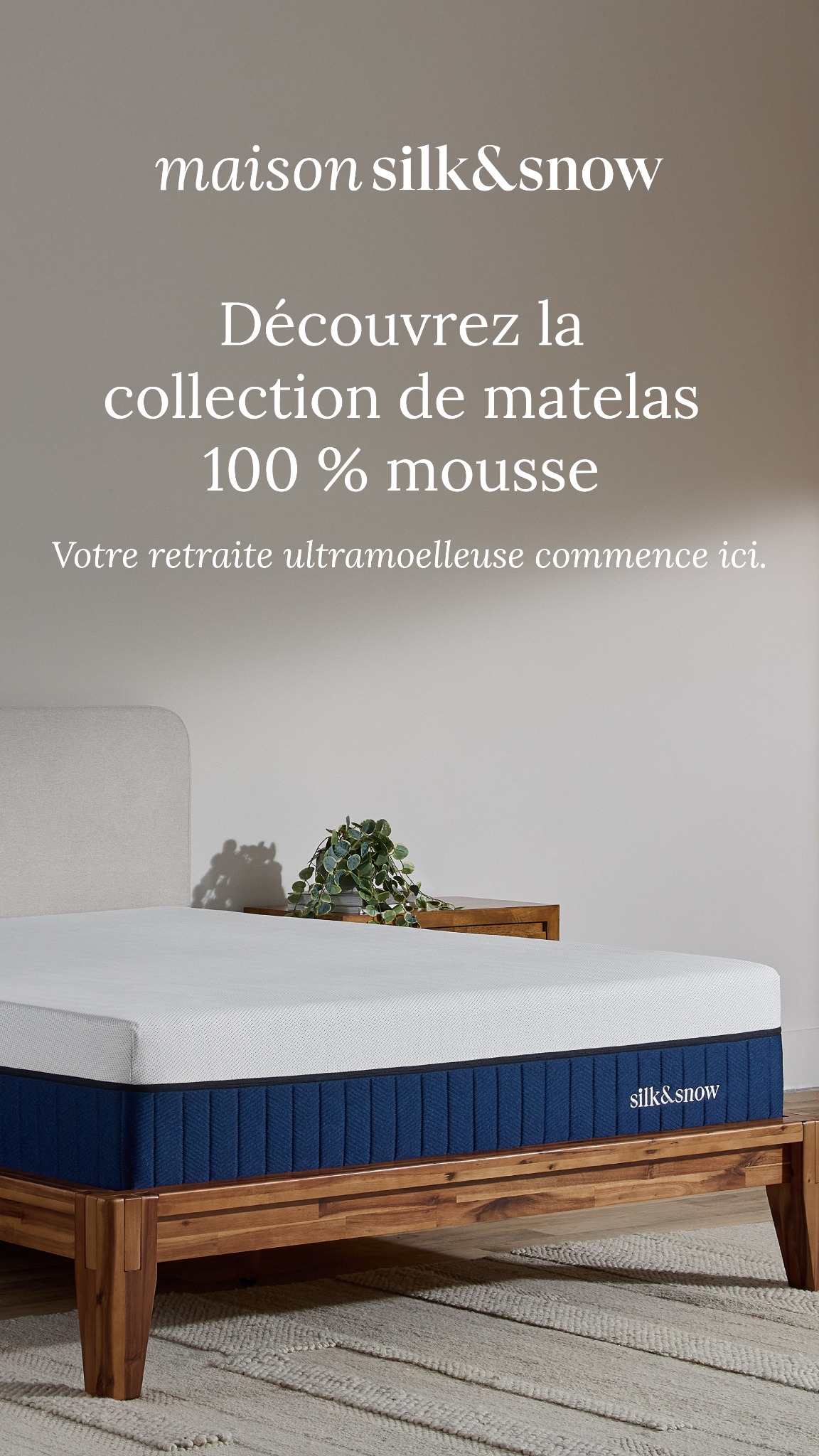 Maison Silk & Snow Facebook ad