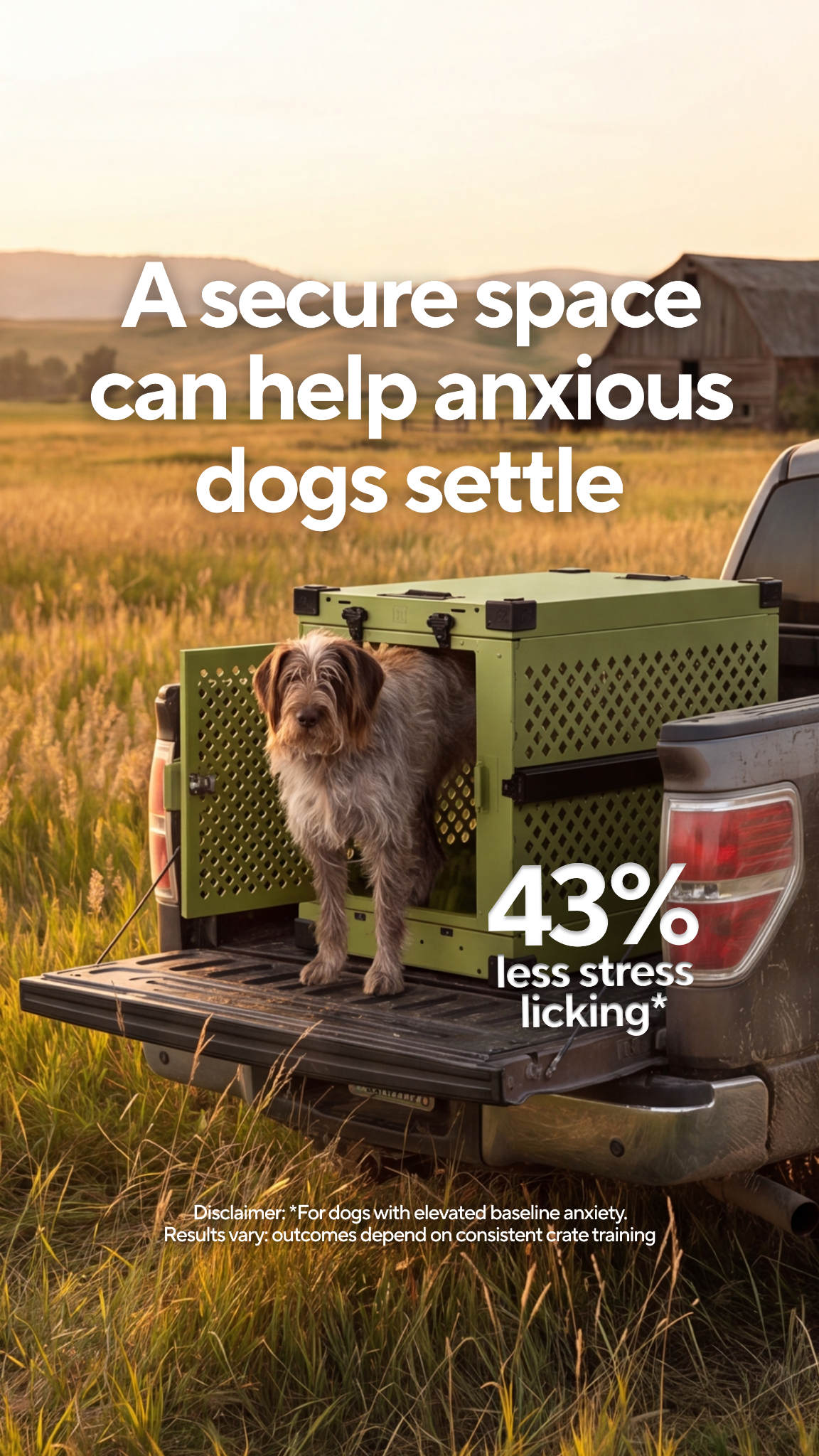 Impact Dog Crates Facebook ad