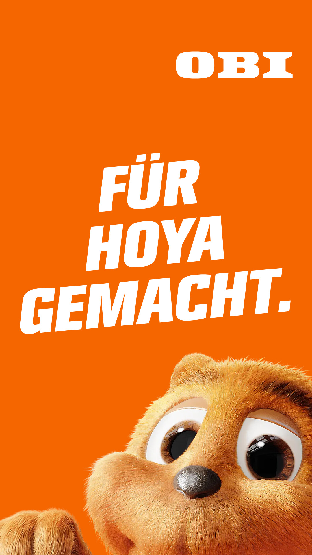 OBI Facebook ad