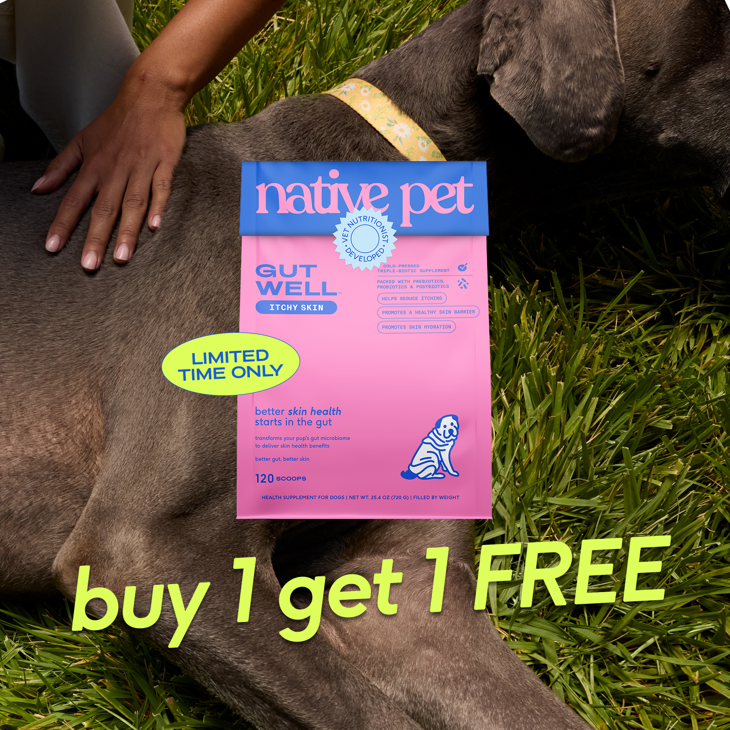 Native Pet Facebook ad