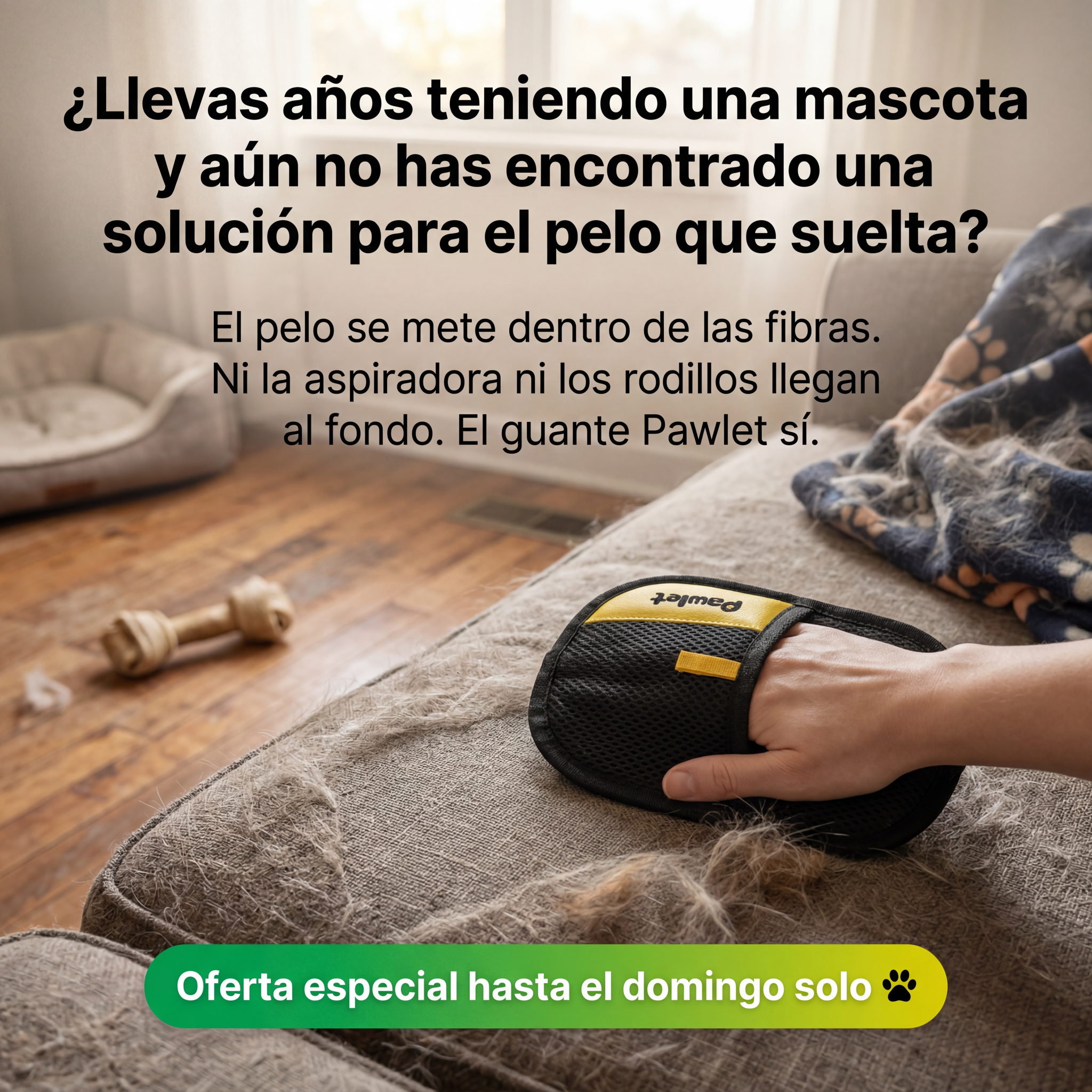 Pawlet Facebook ad