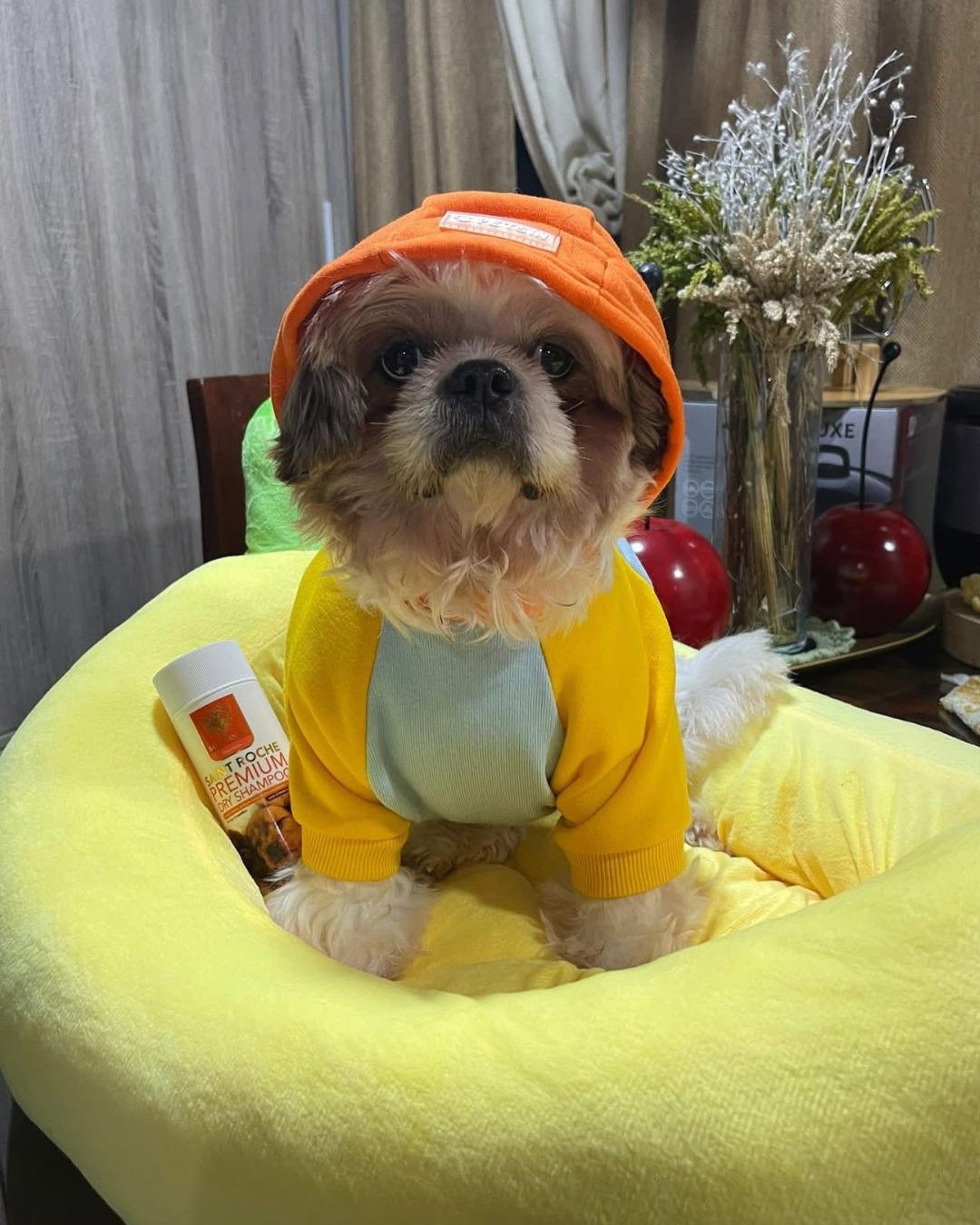 Saint Roche Premium Dog Shampoo Facebook ad