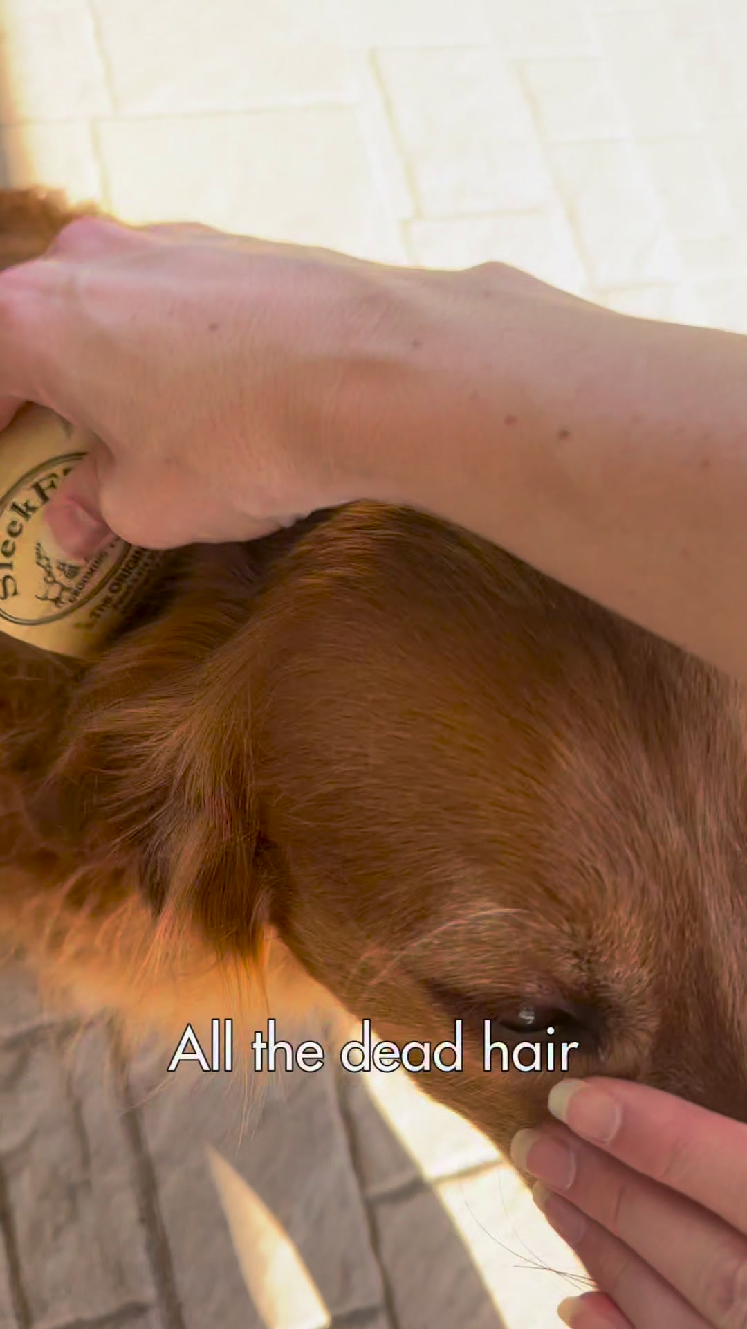 Organic Bunny Facebook ad: Drowning in dog hair? Try this!