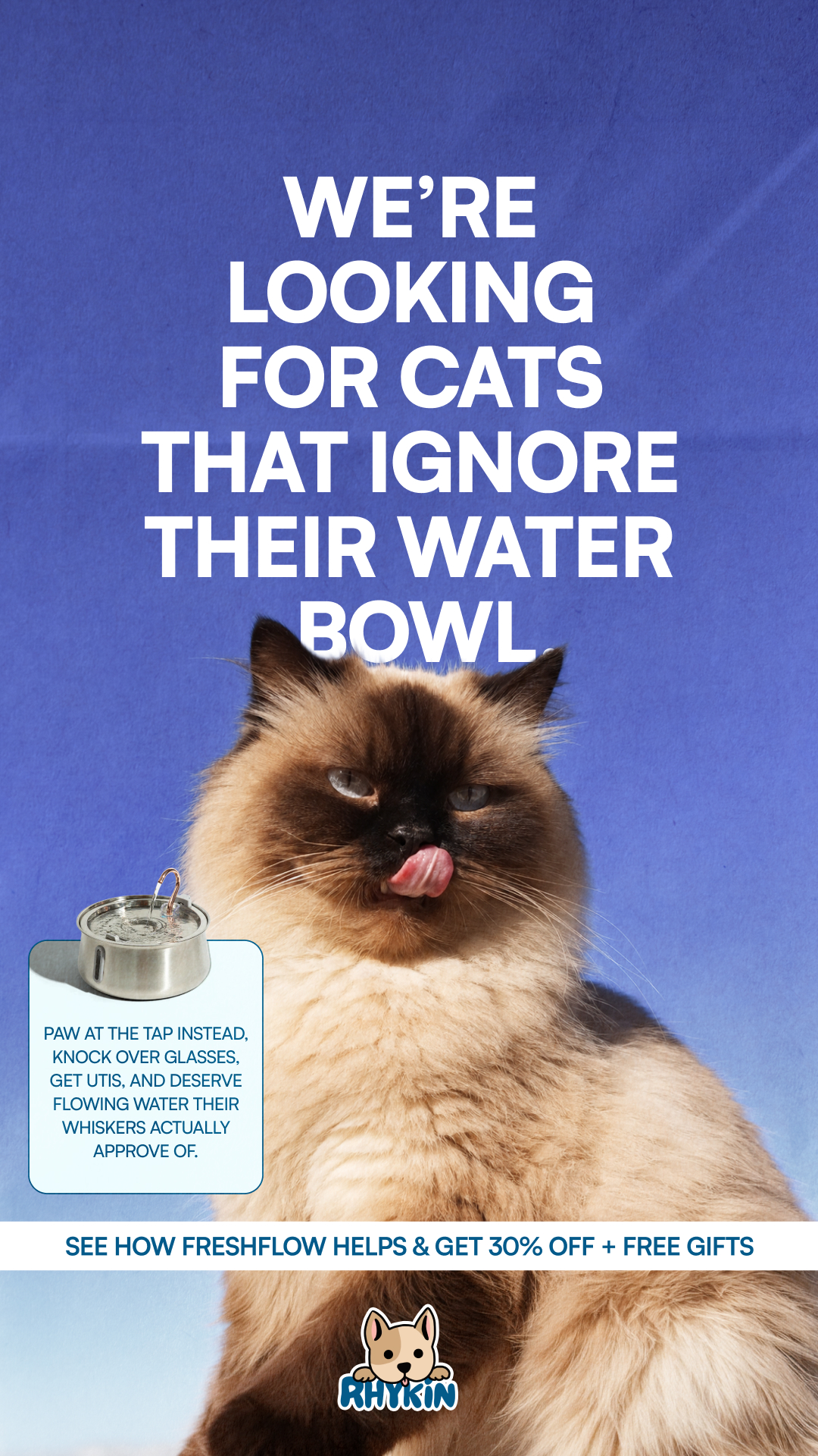 Rhykin Pet Co Facebook ad