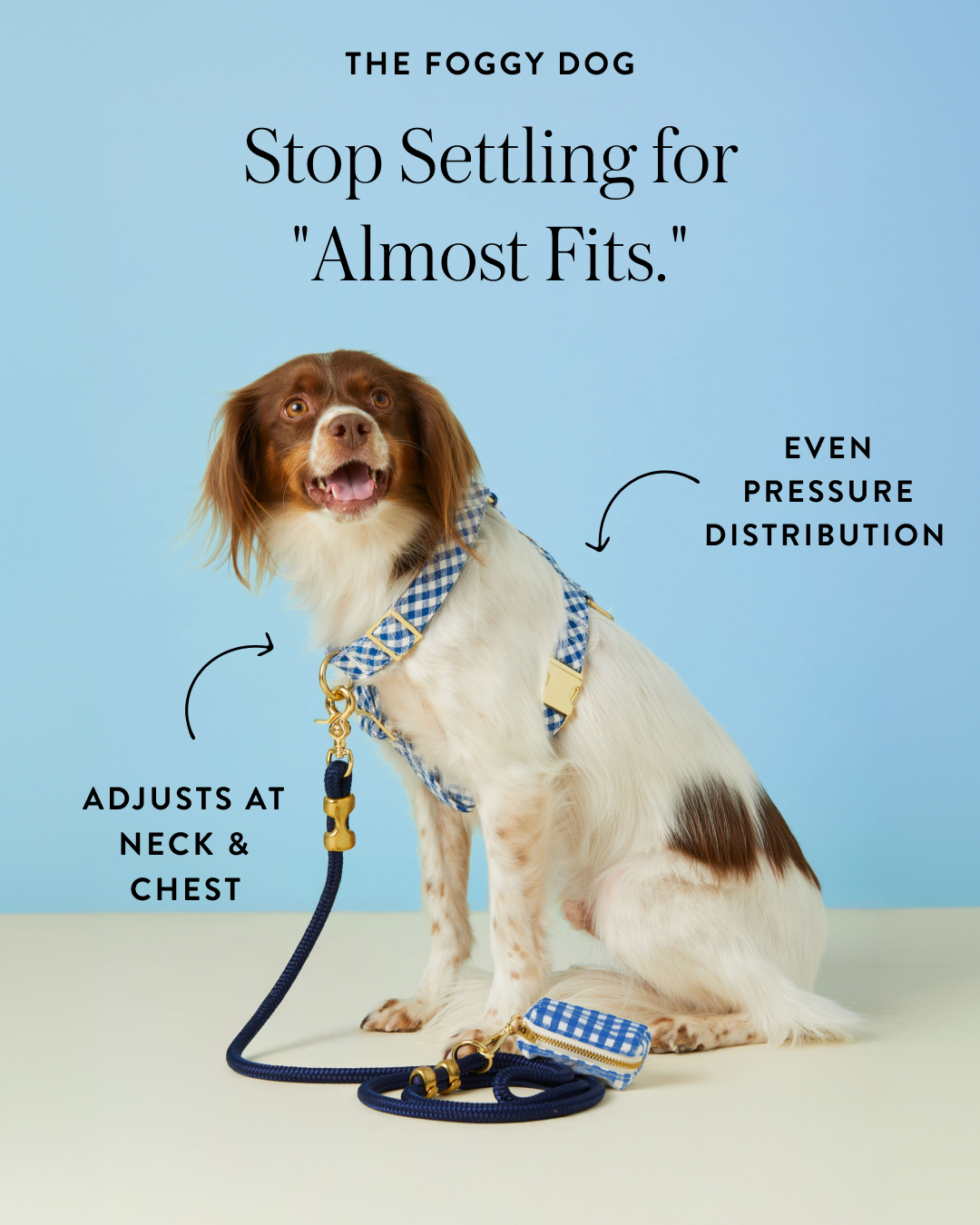 The Foggy Dog Facebook ad