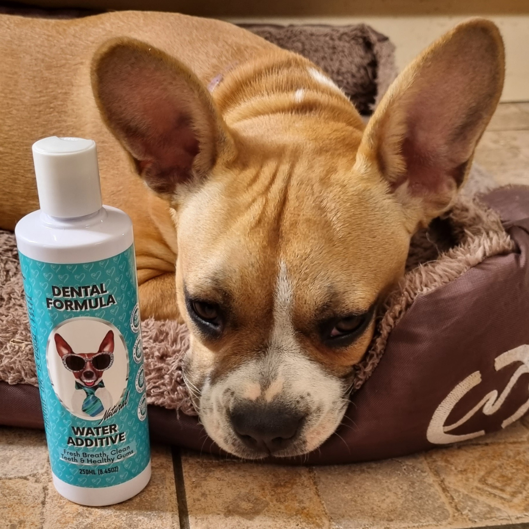 Nutri Paw Facebook ad