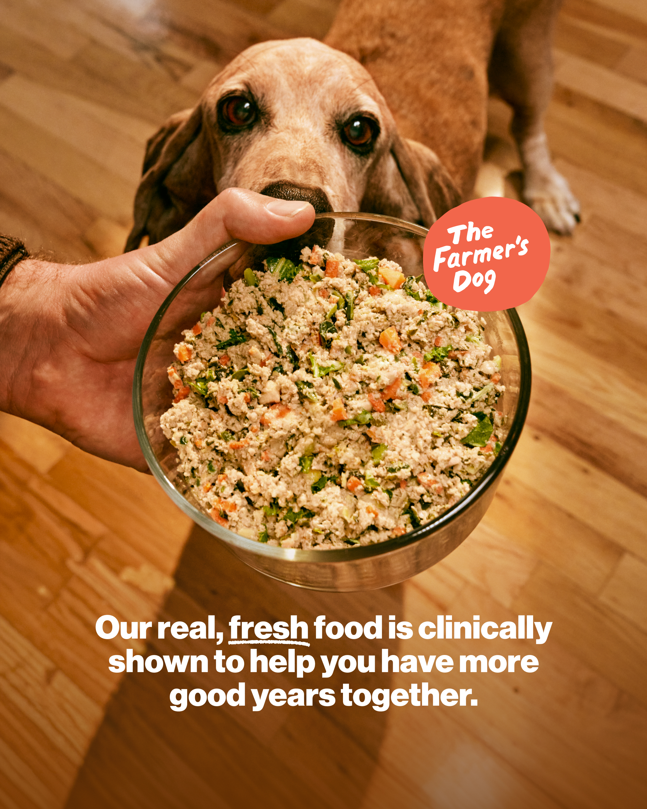 The Farmer's Dog Facebook ad