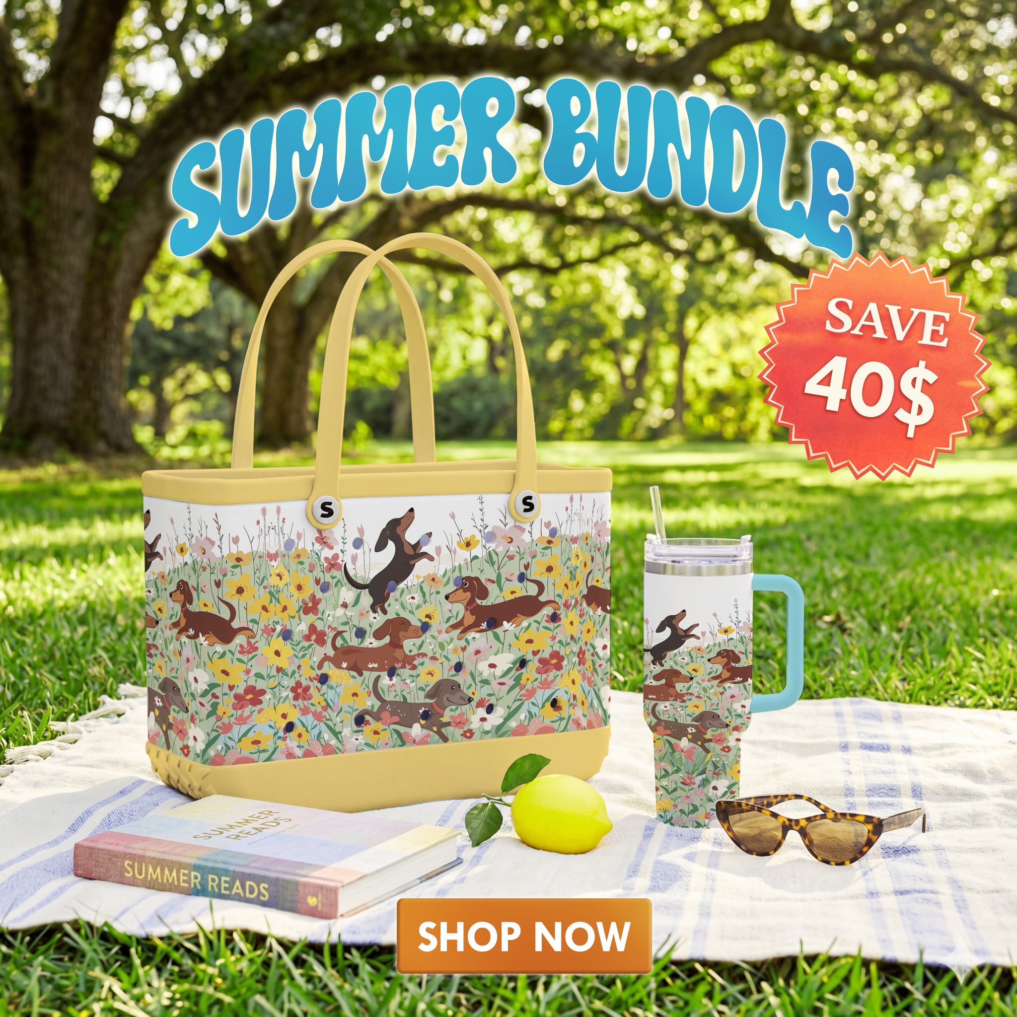Shineful.net Facebook ad: New Bundle Save 40$