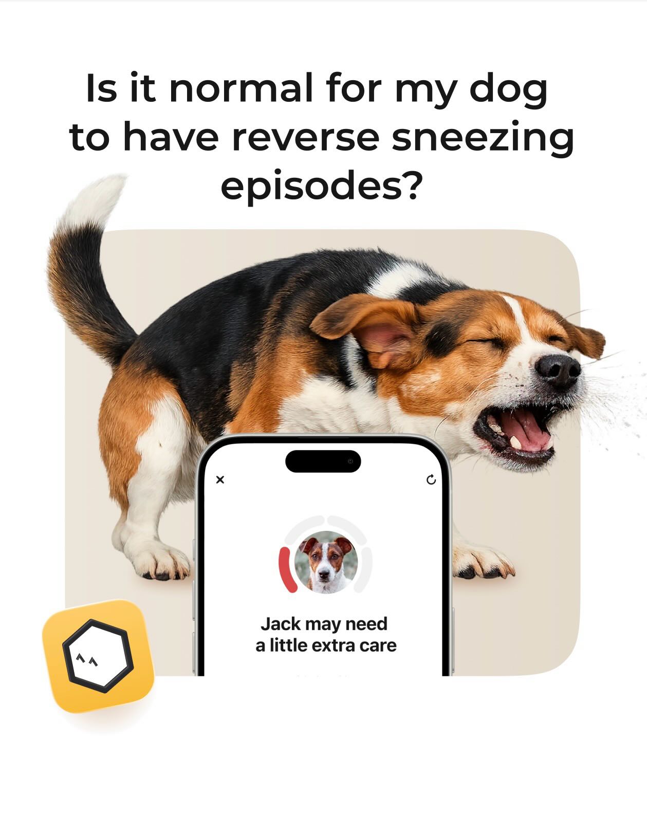 Petcube Facebook ad