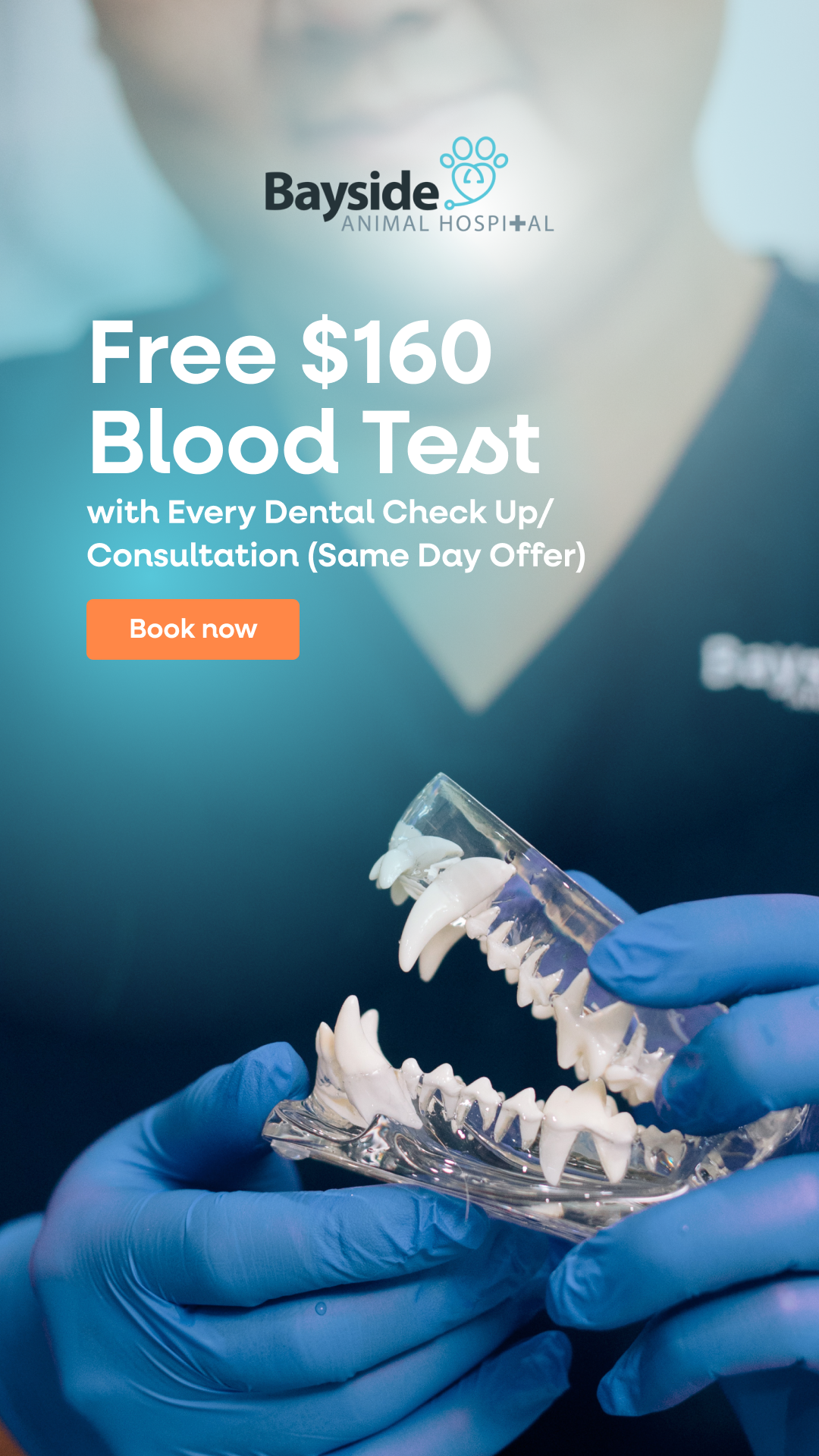 Bayside Animal Hospital Facebook ad