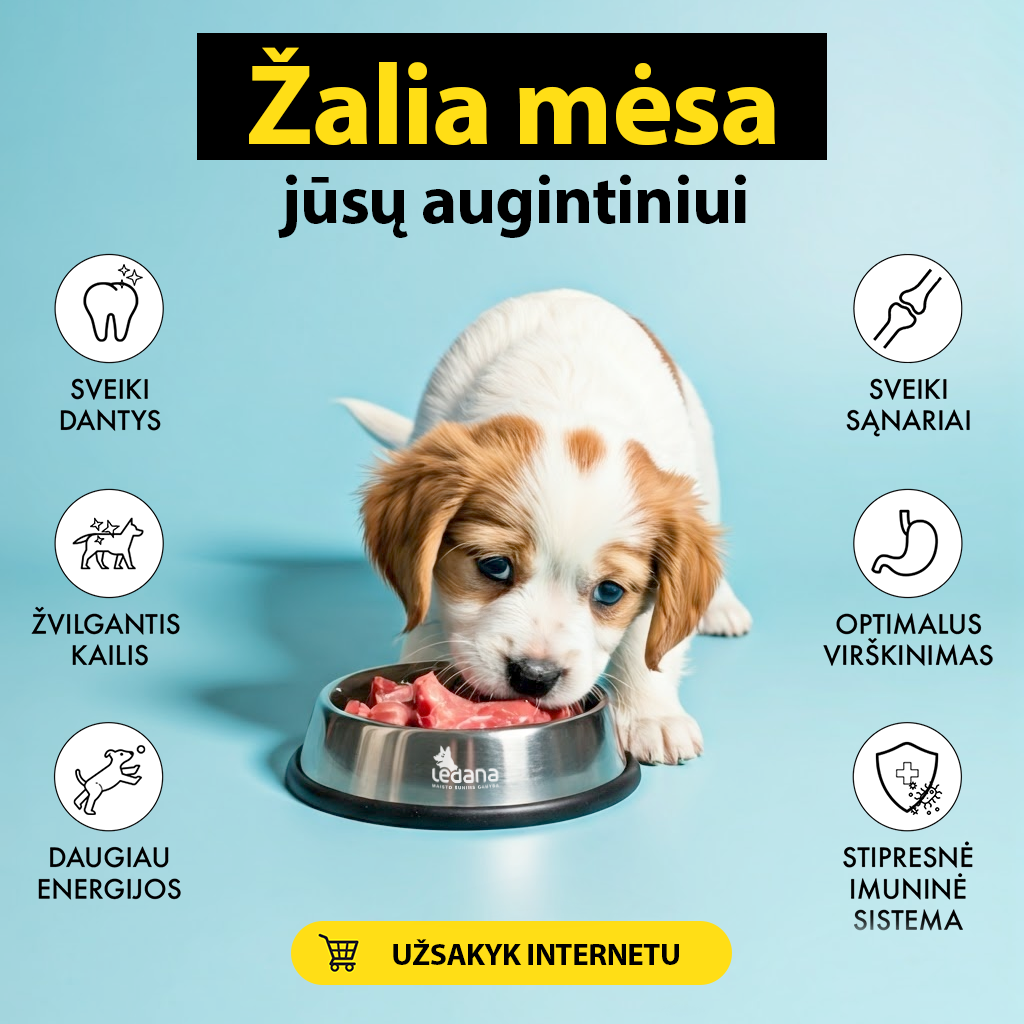 Ledana Facebook ad: Žalia mėsa augintiniui