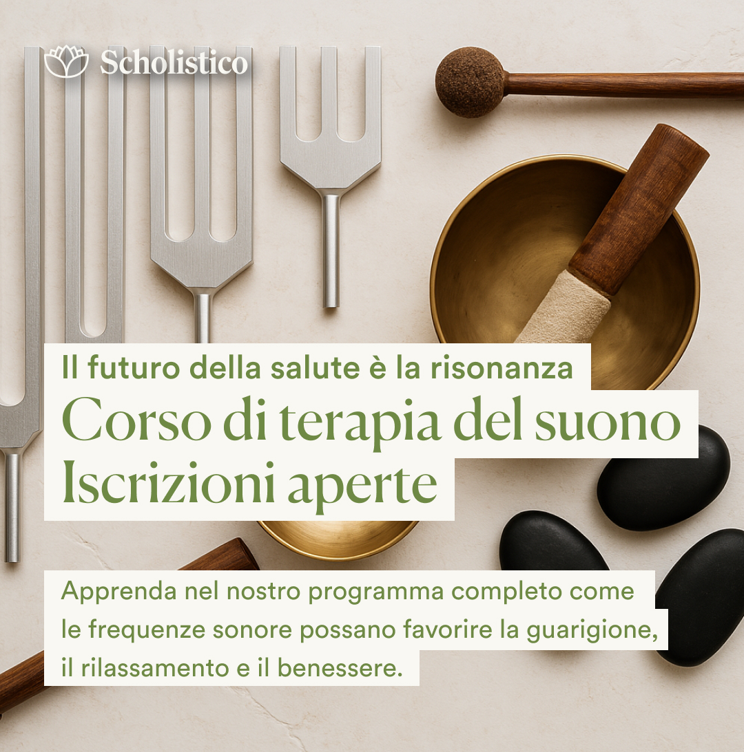Scholistico Italia Facebook ad