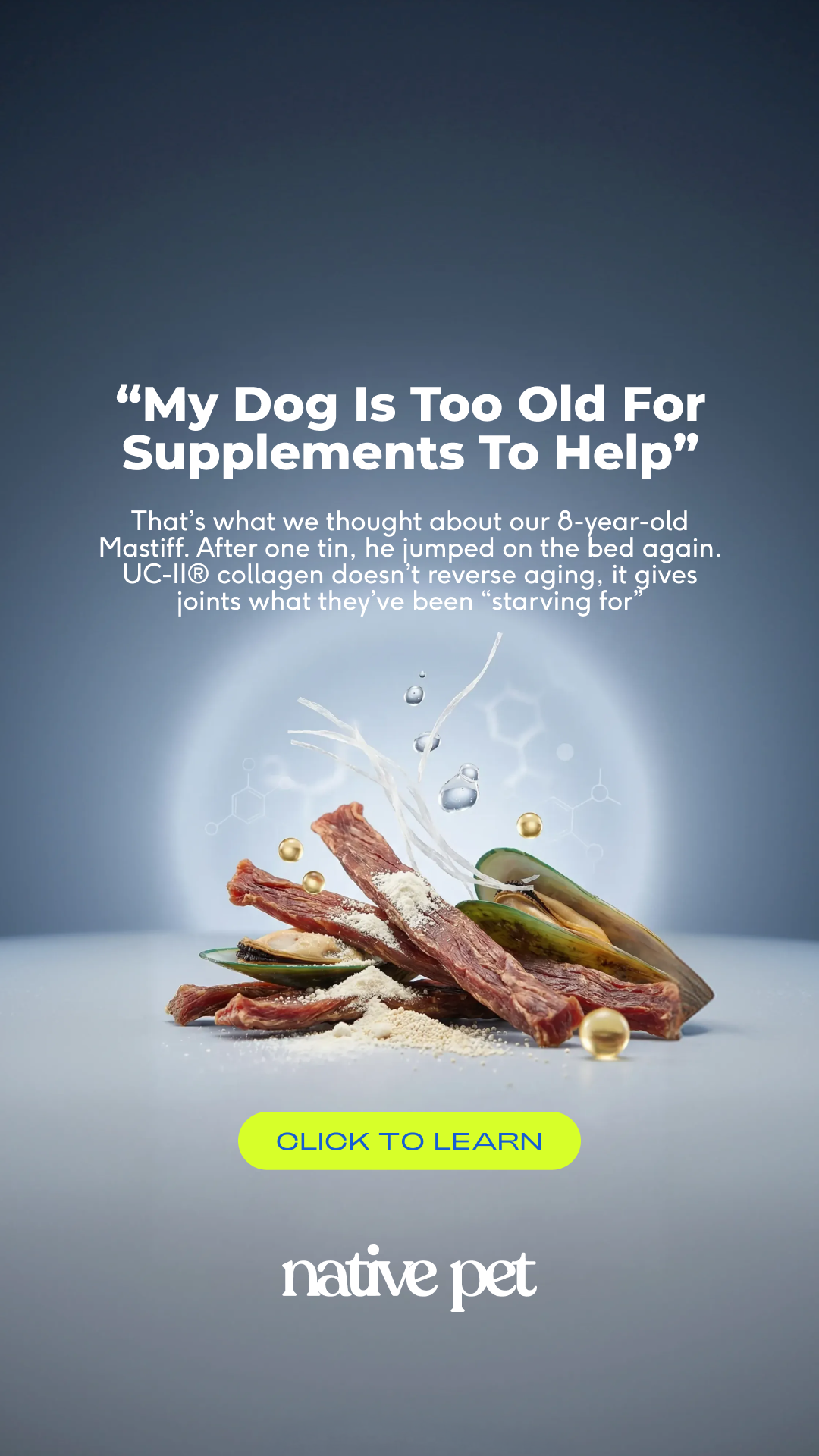 Native Pet Facebook ad