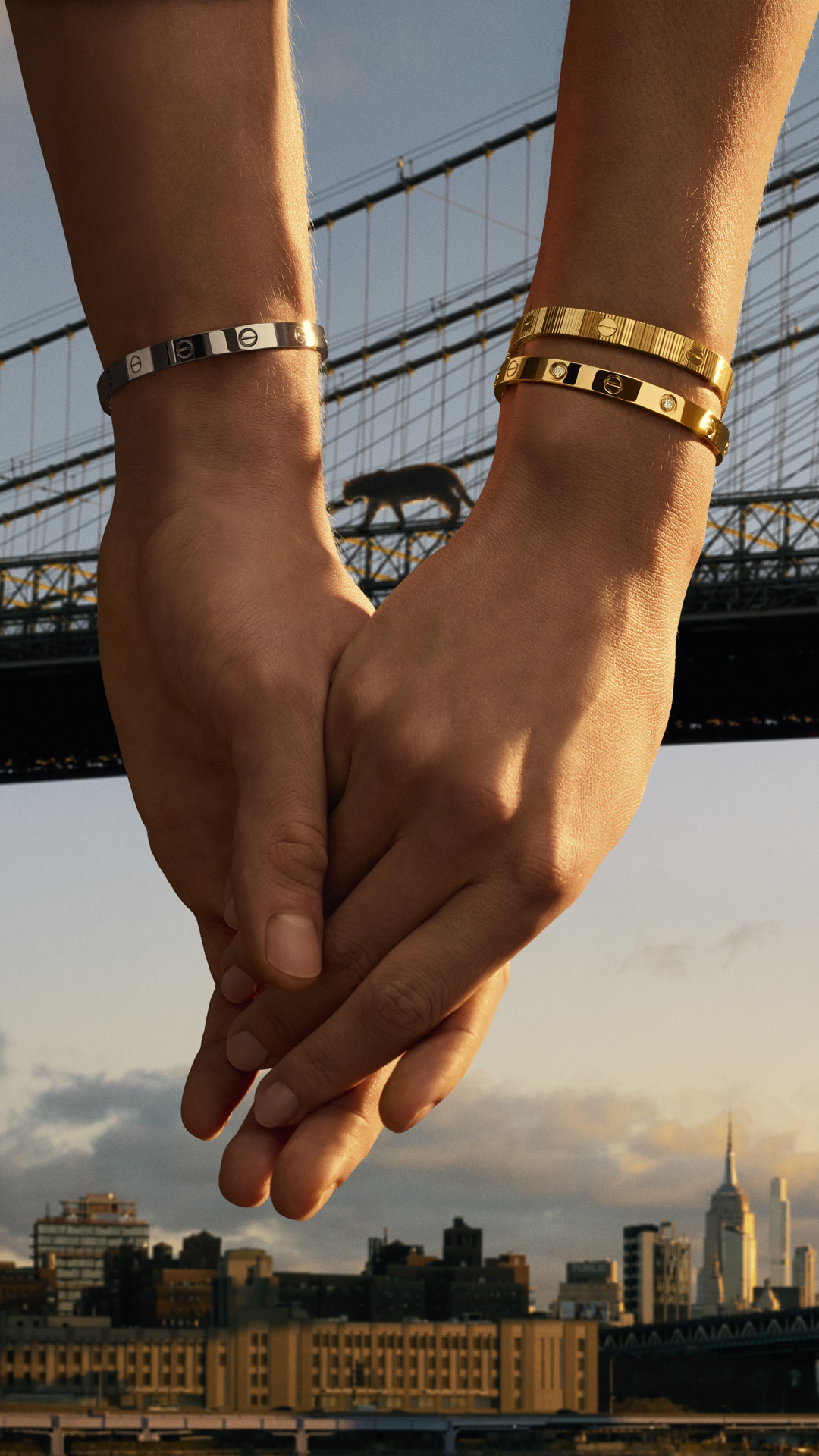 Cartier Facebook ad