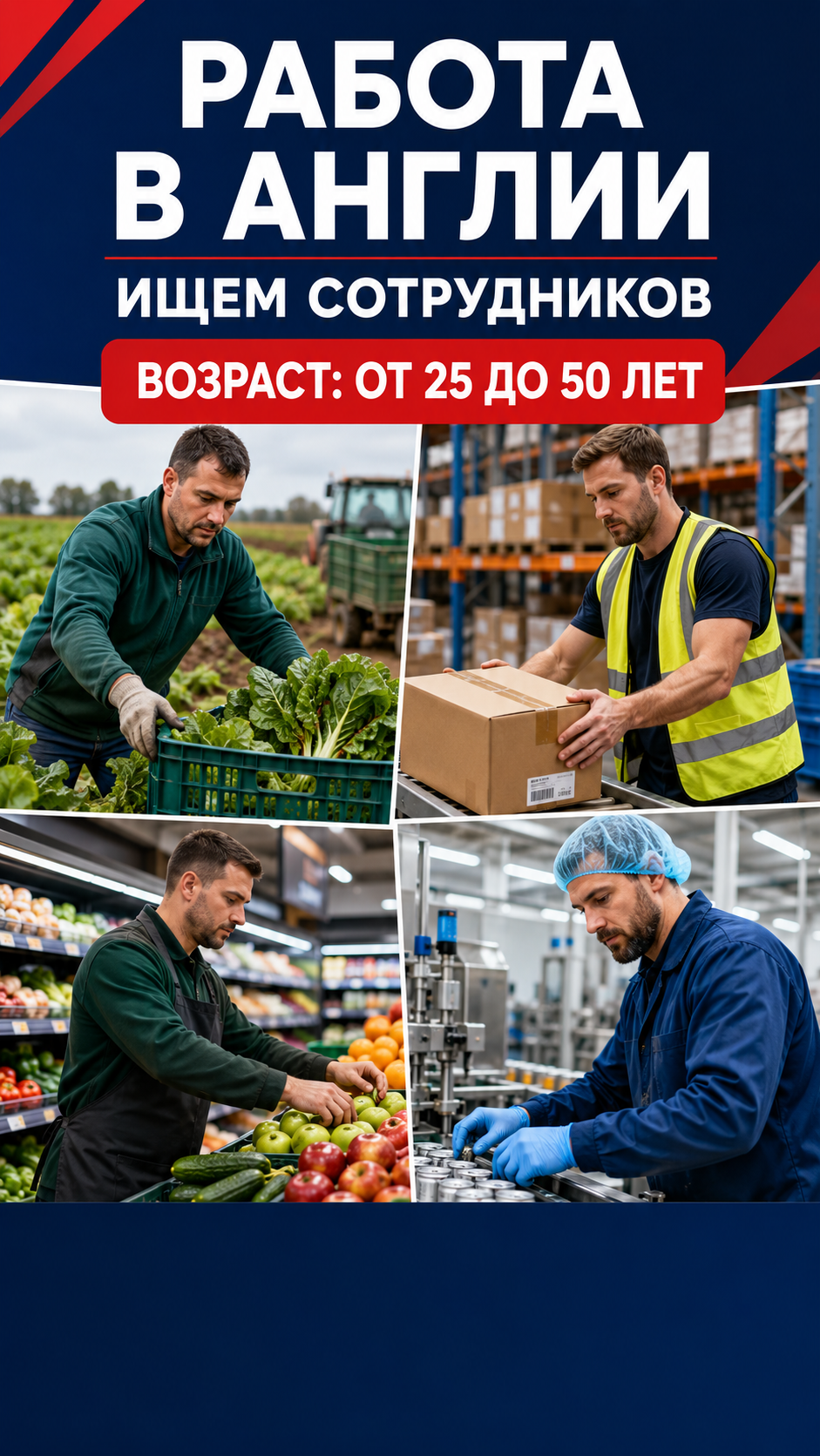 Job Bridge Company Facebook ad: Работа в Великобритании, Прямо в точку