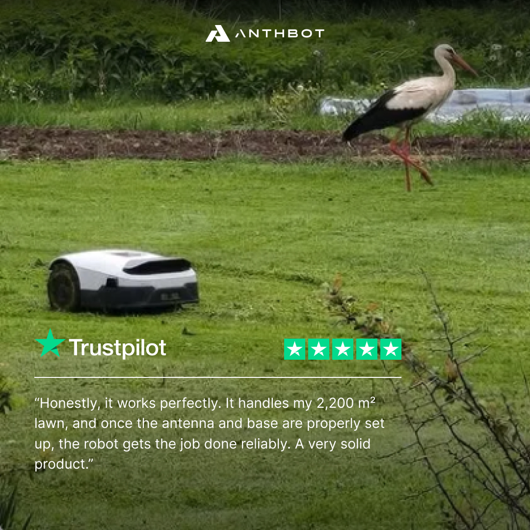 ANTHBOT Facebook ad