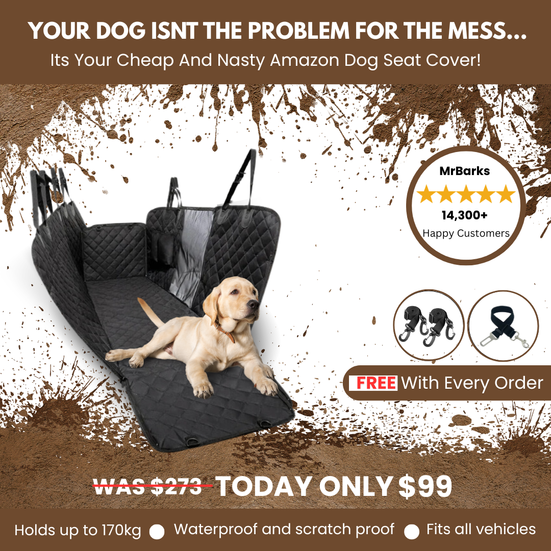MrBarks.Shop Facebook ad