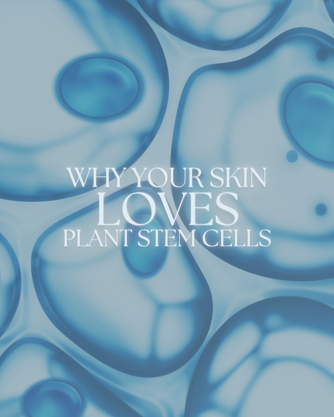 The Stem Company Facebook ad: Why Does My Skin Love Plant Stem Cells?