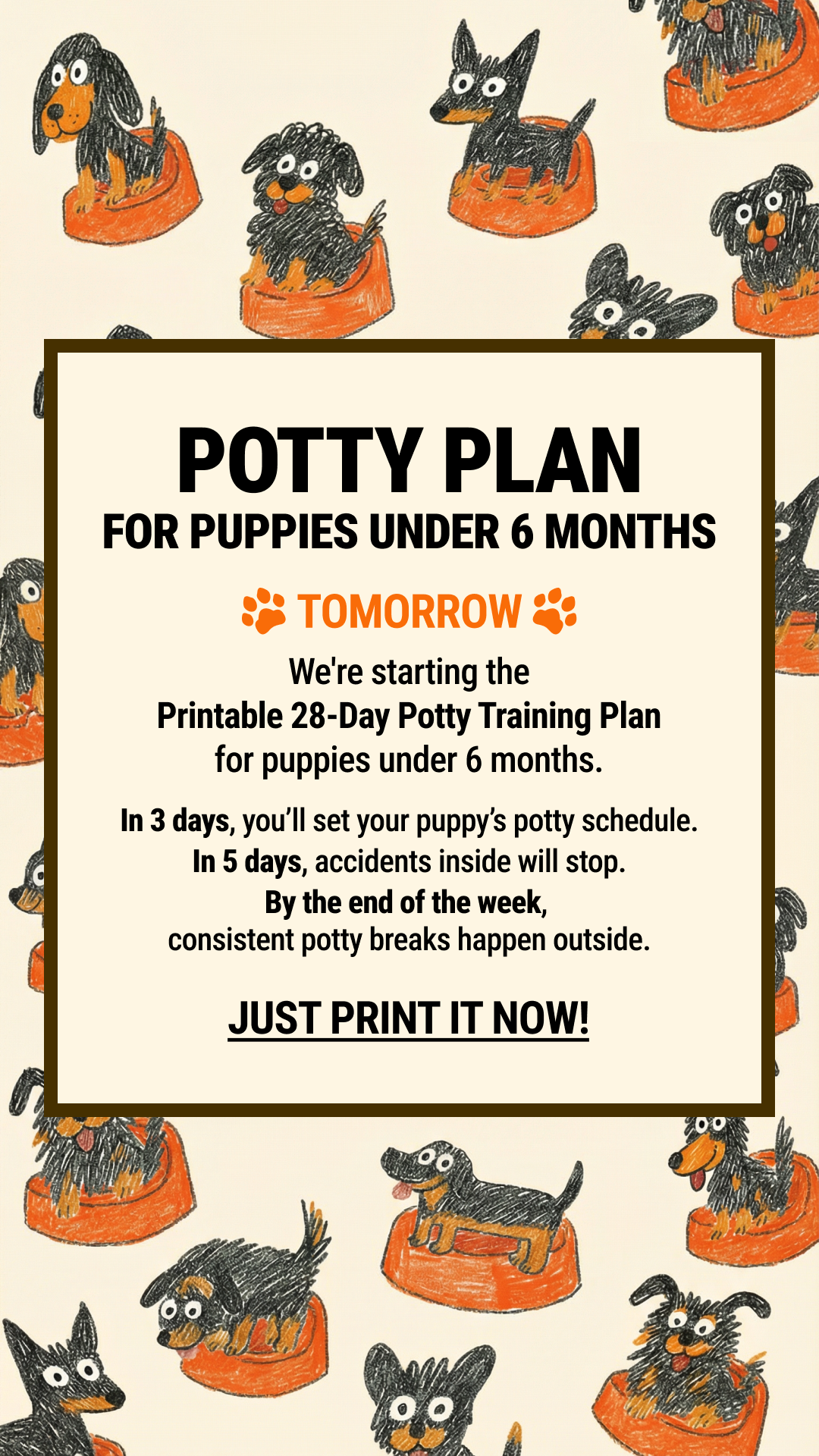 Woofz - Puppy Training Facebook ad