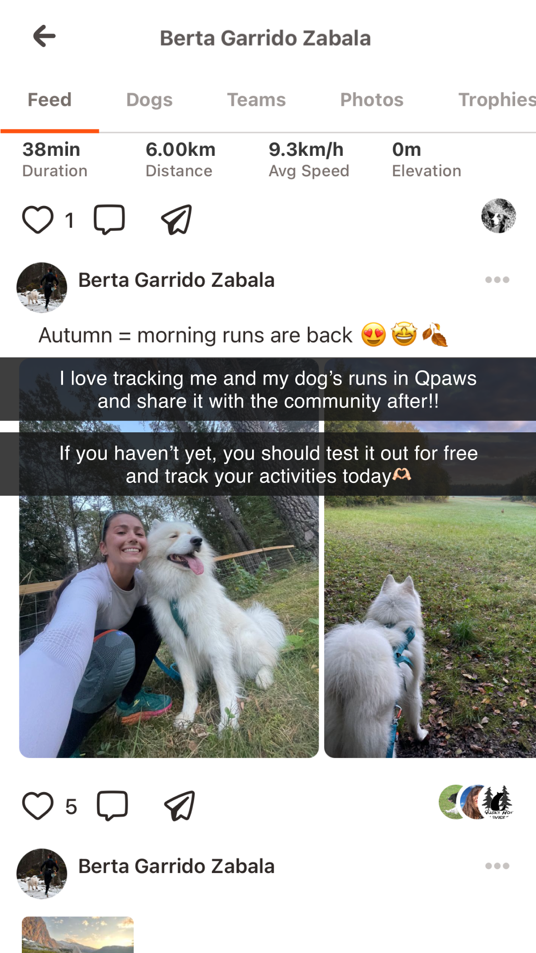 QPAWS Facebook ad