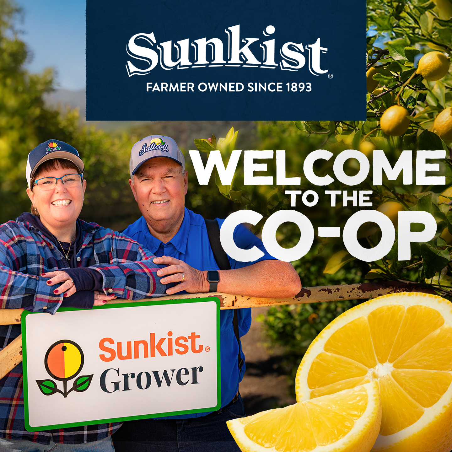 Sunkist Facebook ad