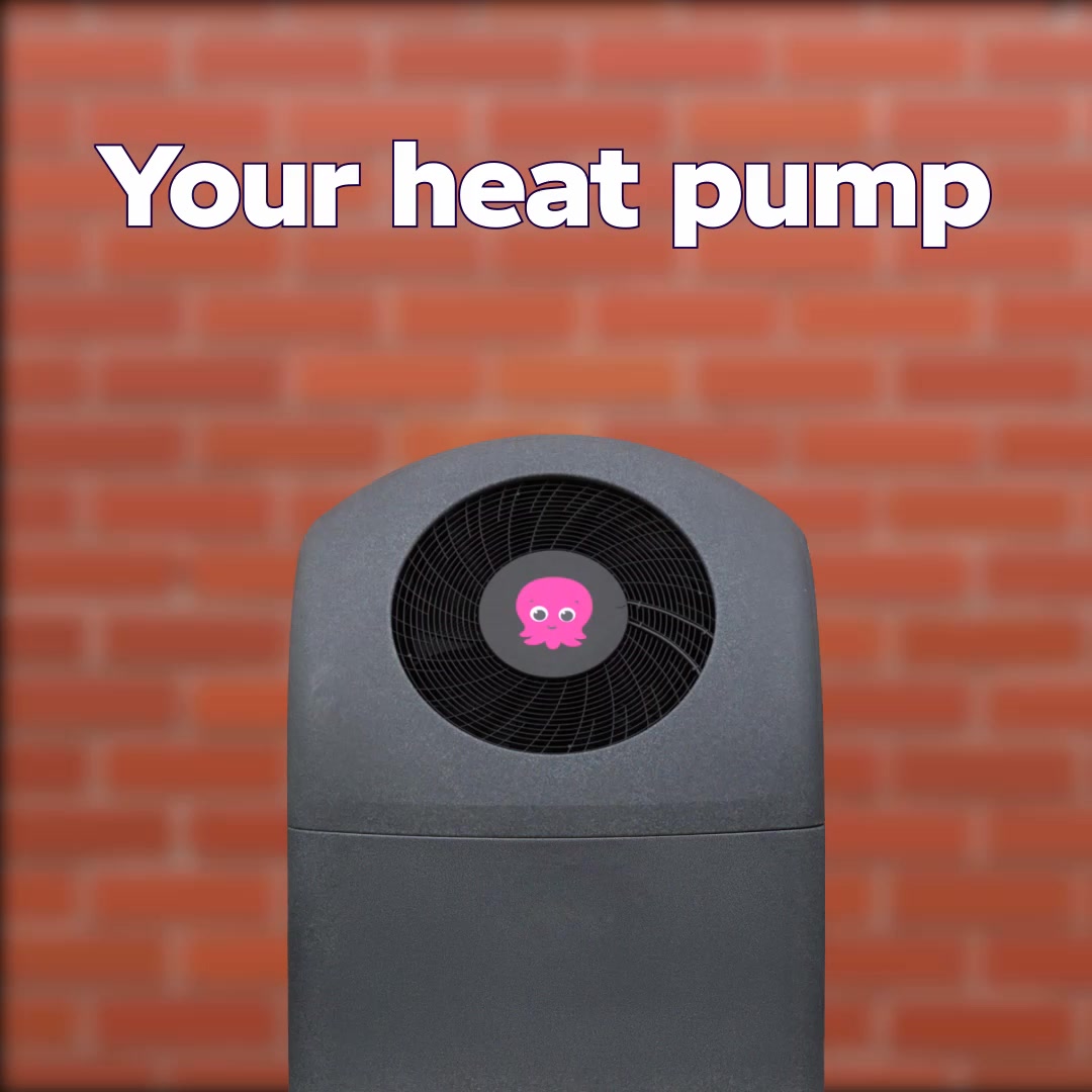 Octopus Energy Facebook ad: Heat Your Home Without Gas