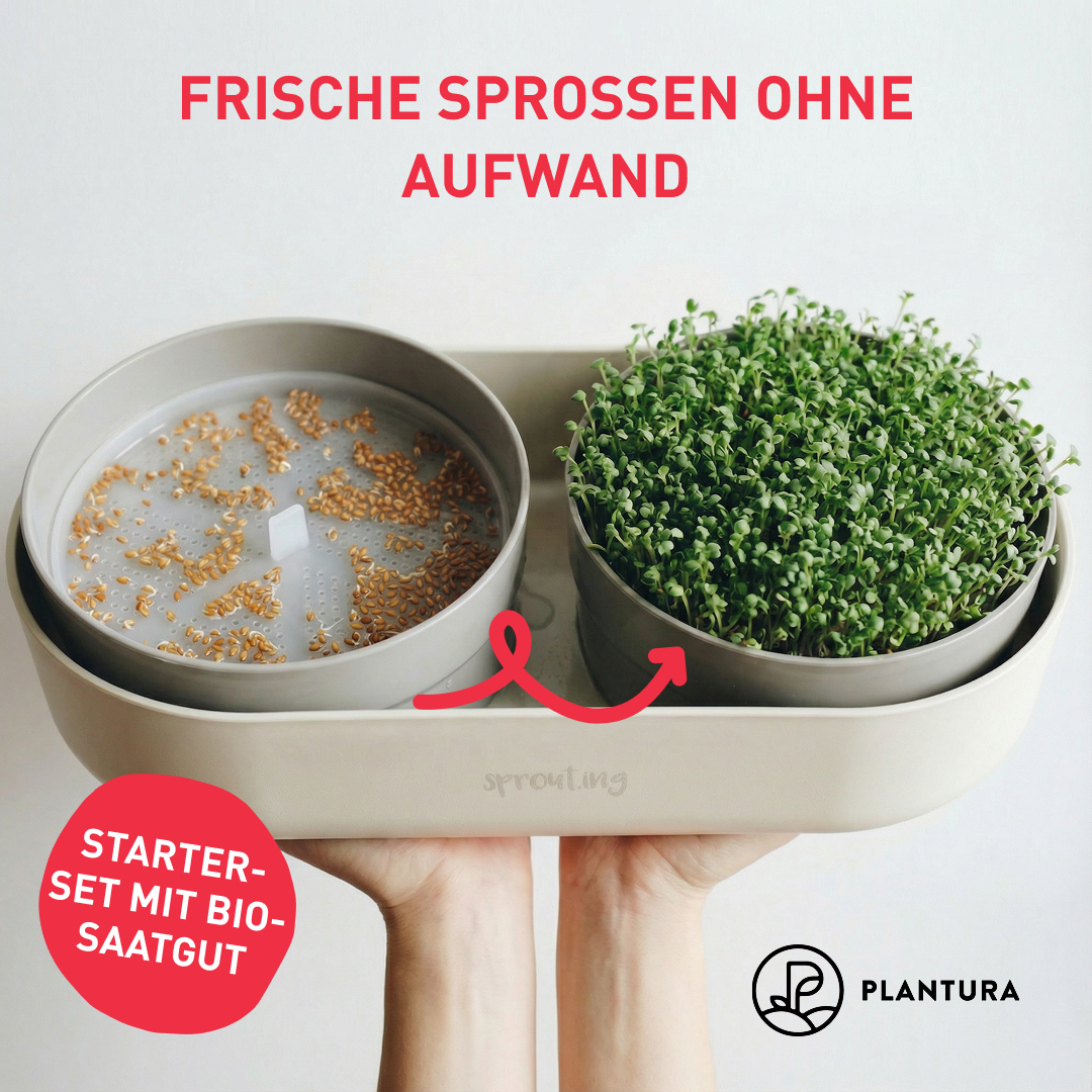 Plantura Facebook ad