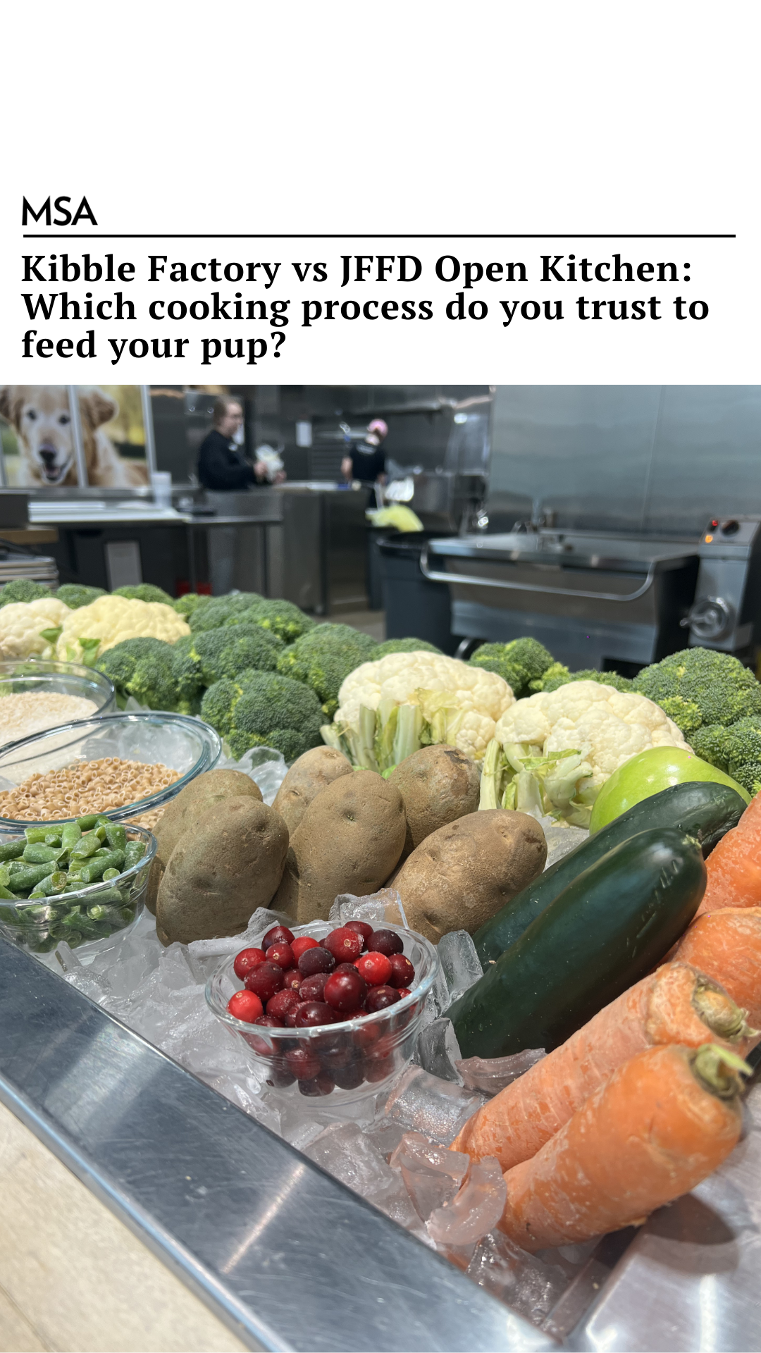 Just Food For Dogs Facebook ad