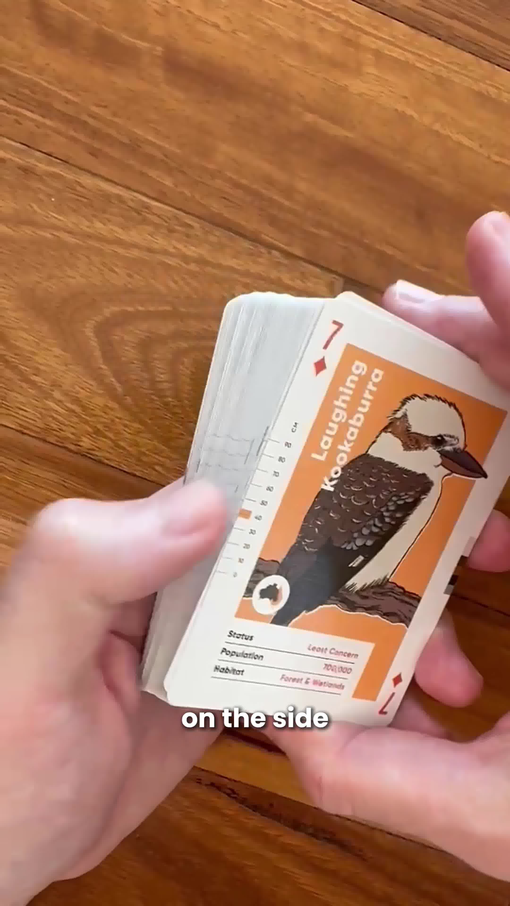 WildlyNice Facebook ad: Playing Cards Hand Illustrated Native Australian Birds