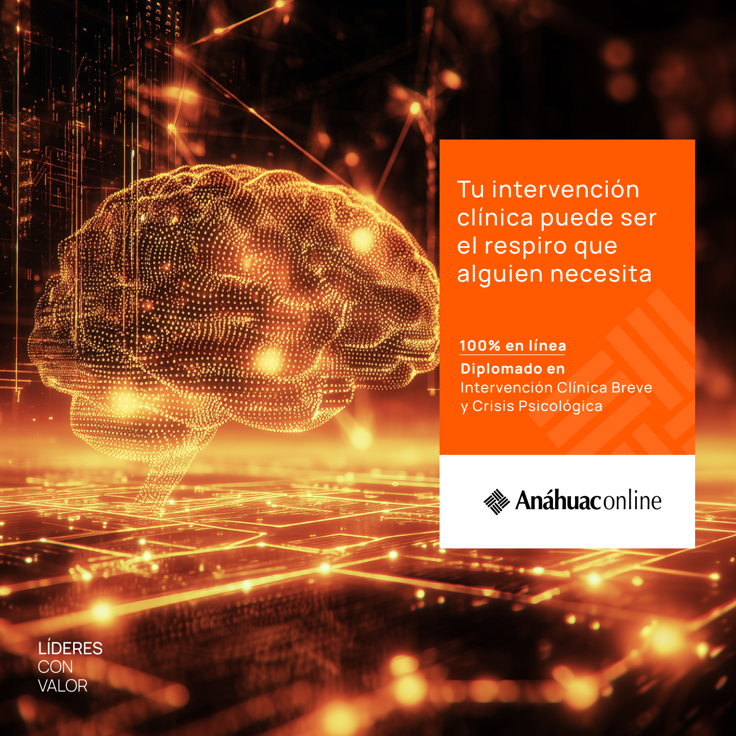 Anáhuac Online Facebook ad
