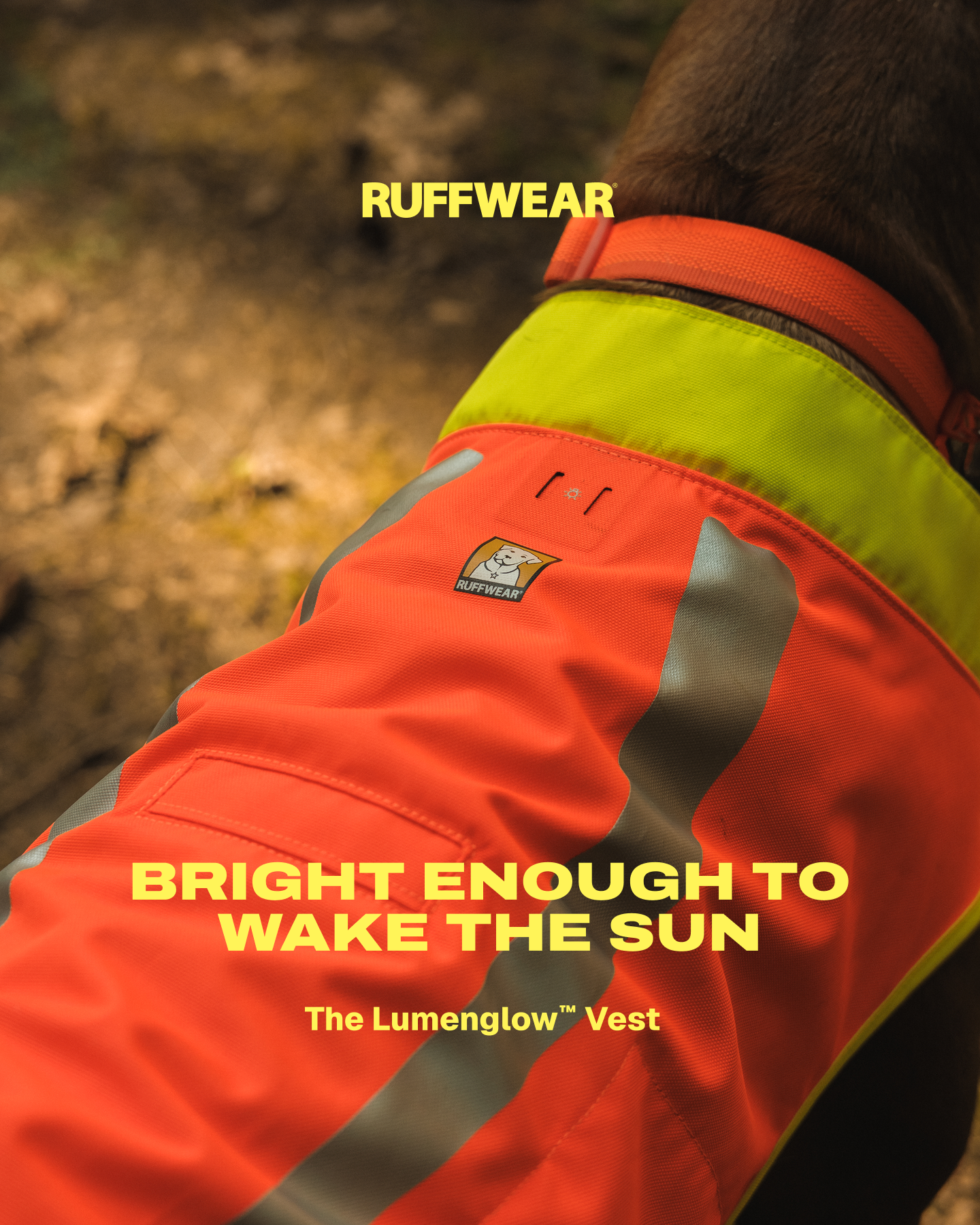 Ruffwear Facebook ad: Bright enough to wake the sun