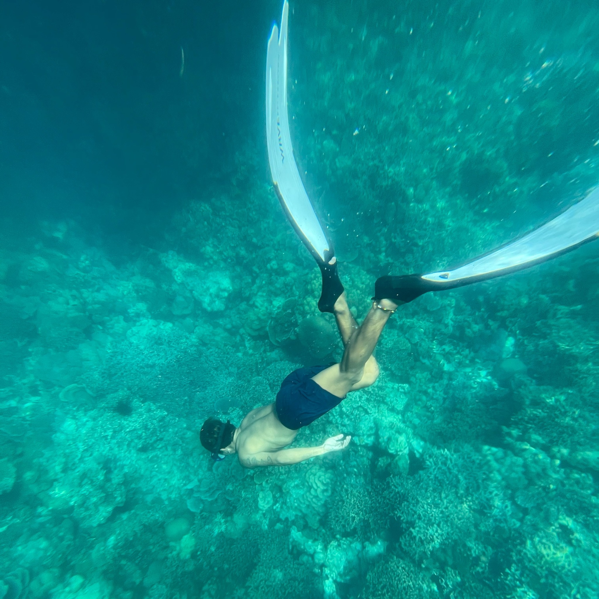 Samal Island Hopping by JTours Facebook ad: Dive into adventure with our 𝗦𝗔𝗠𝗔𝗟 Island Hopping…