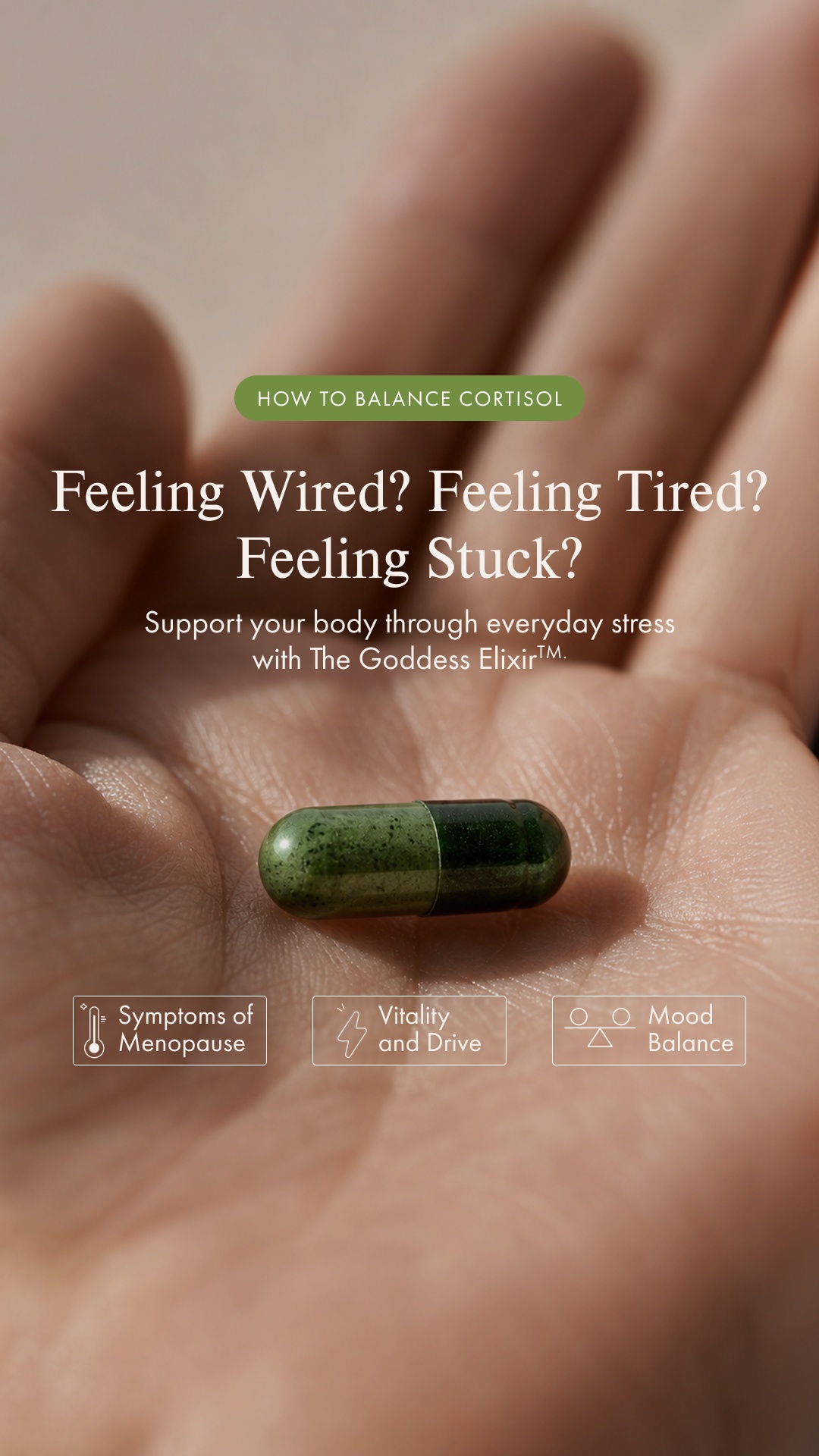 WelleCo Facebook ad