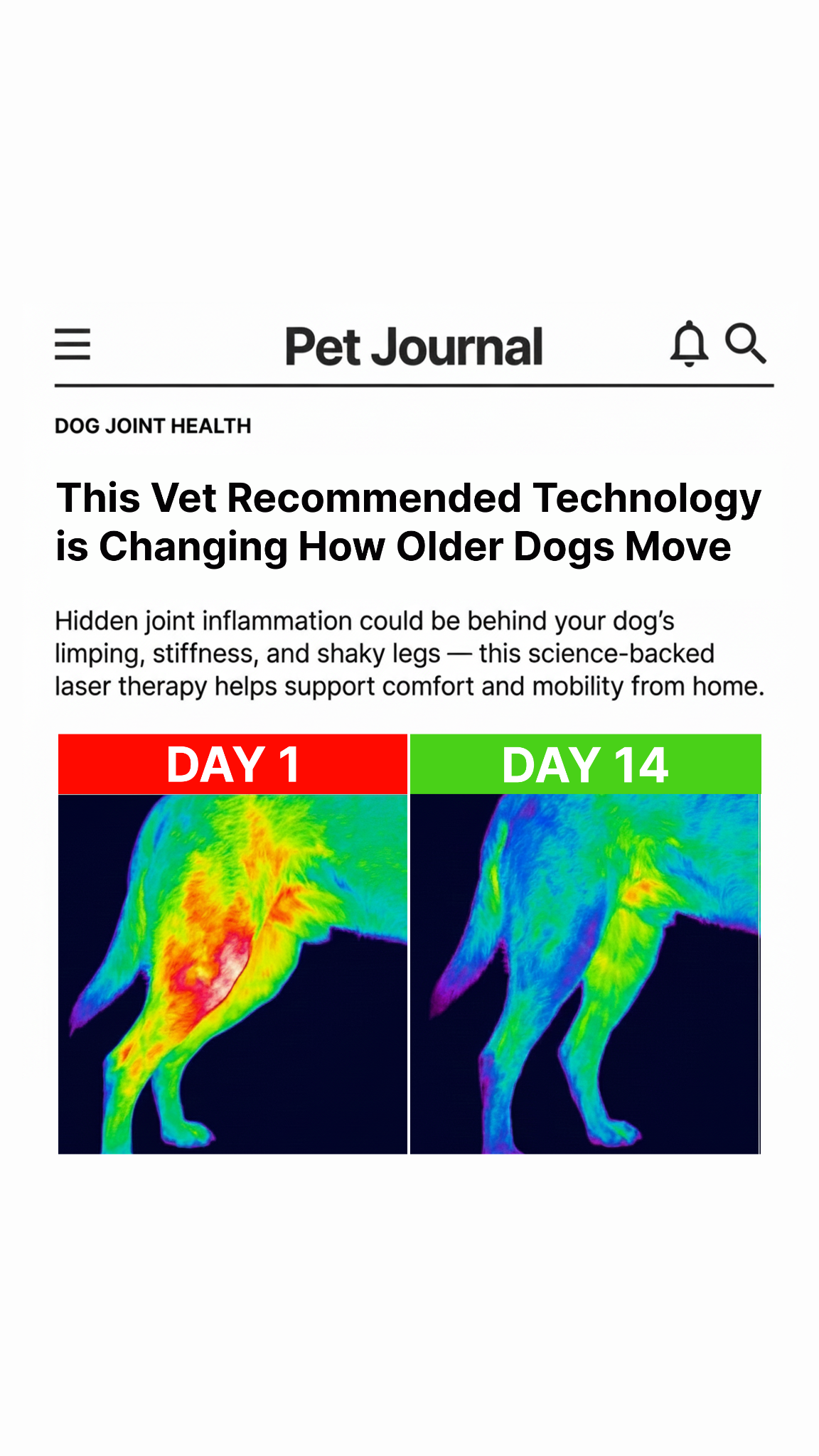 Helio Pet Facebook ad